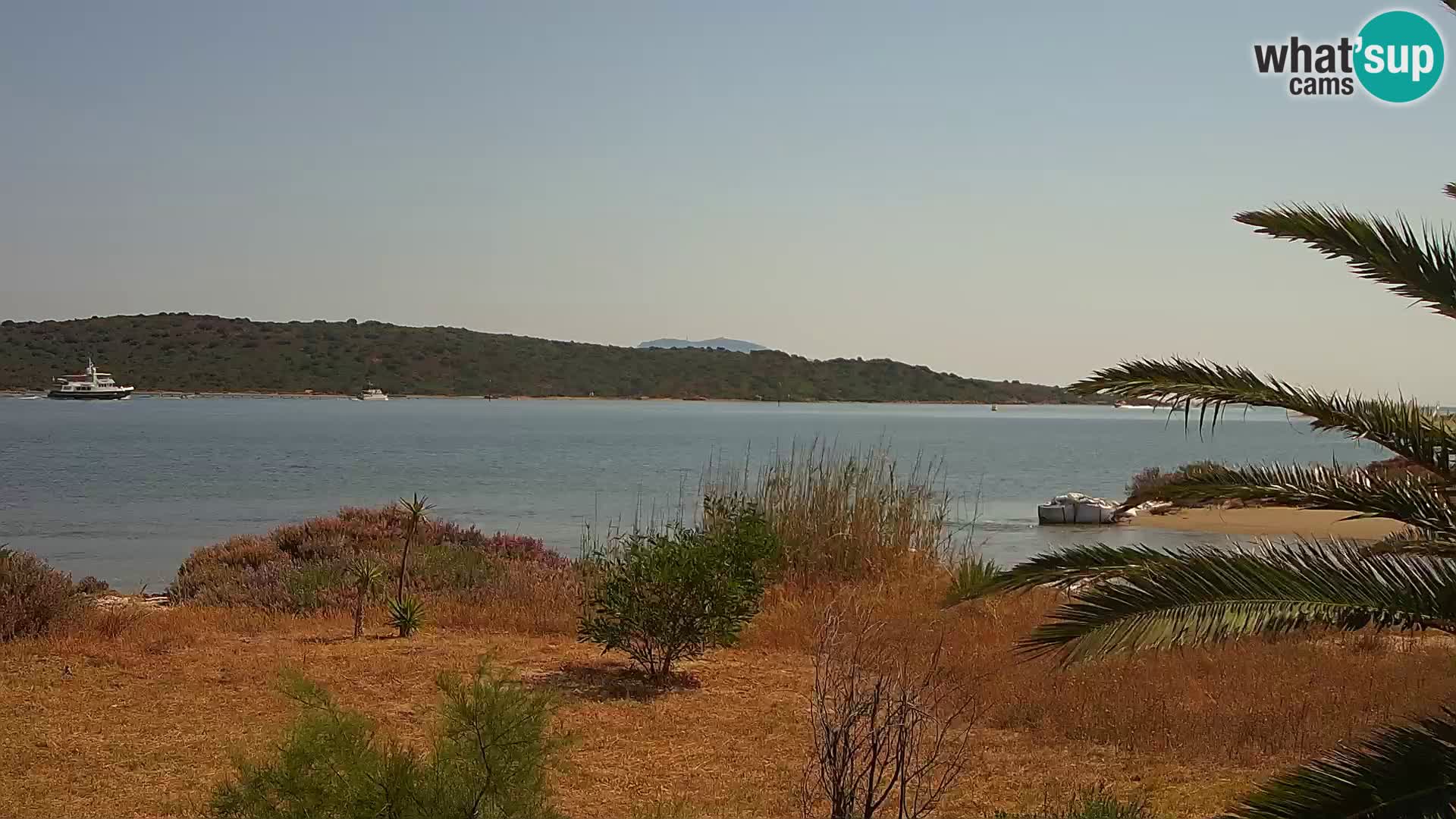 Webcam porto di Olbia – entrata nel porto di Olbia