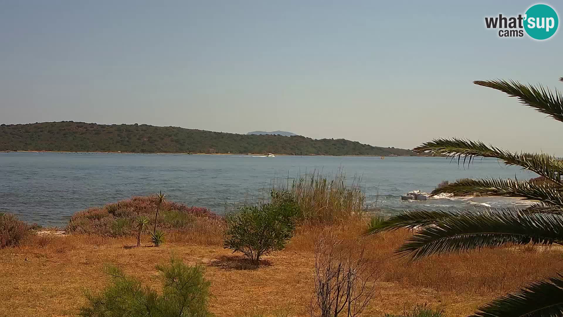 Webcam Olbia port – entrance to the port of Olbia