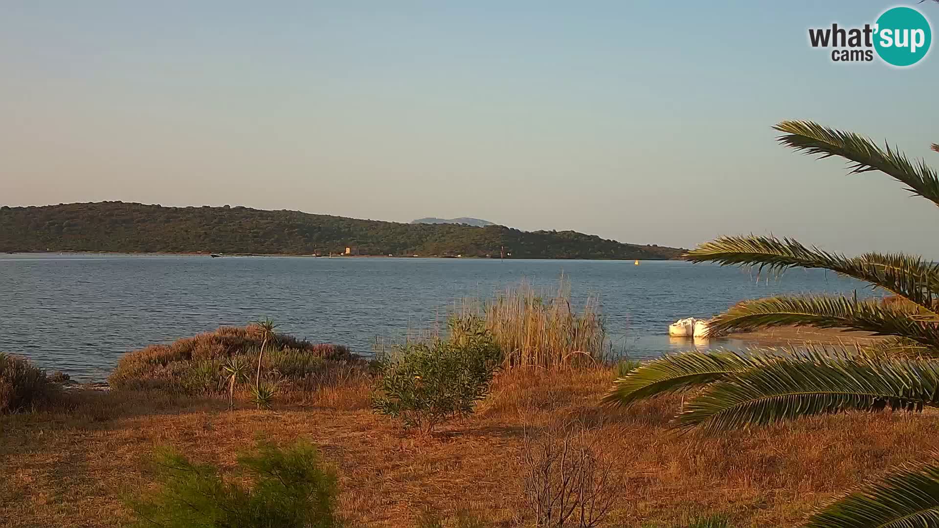 Webcam Hafen Olbia – Eingang zum Hafen von Olbia