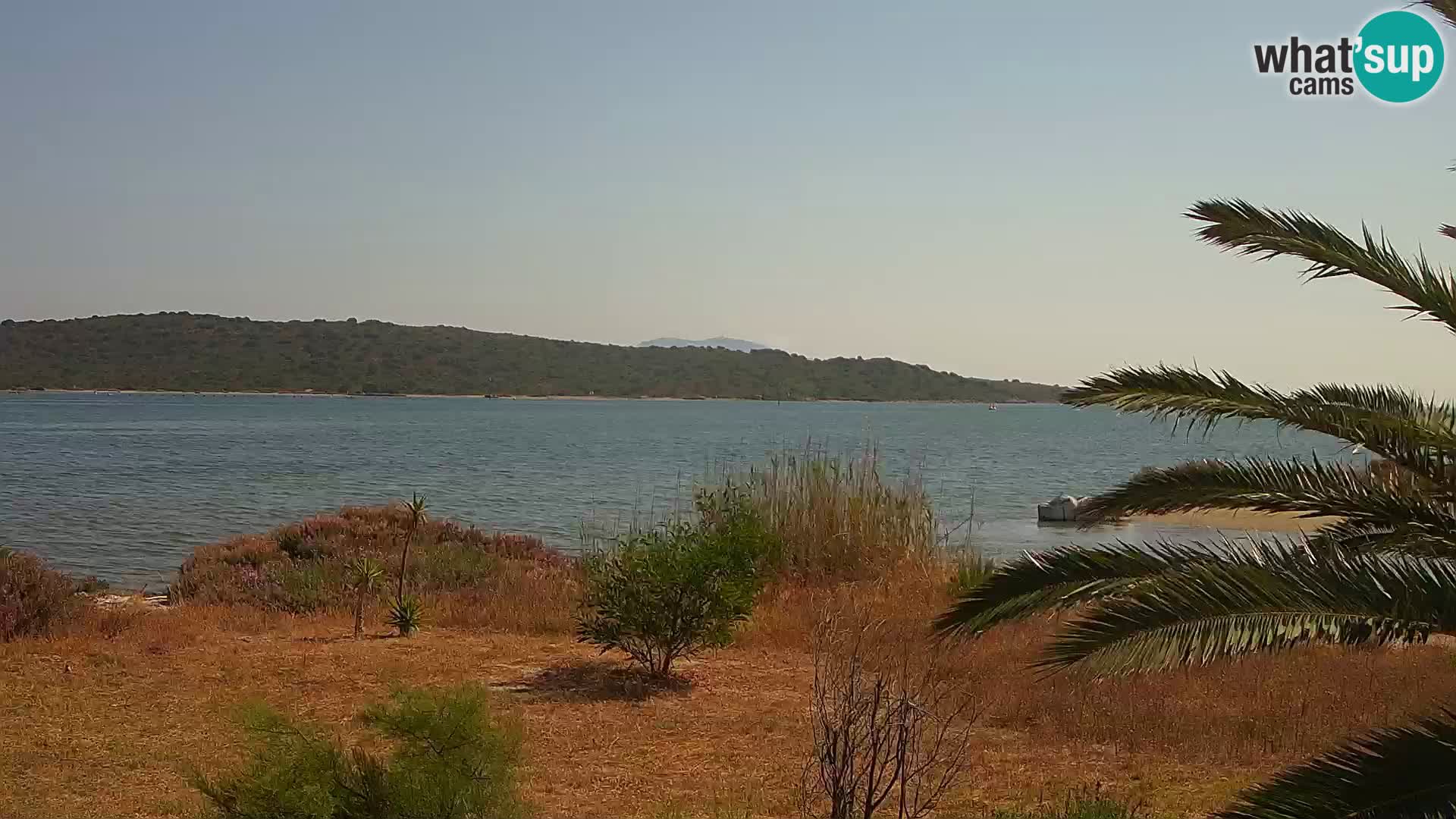 Webcam porto di Olbia – entrata nel porto di Olbia