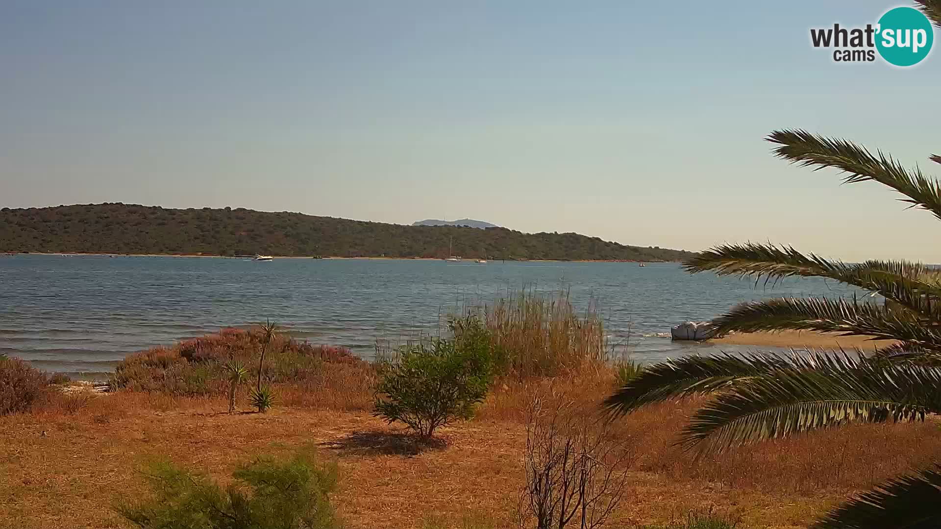 Web kamera Olbia luka – ulaz u luku Olbia