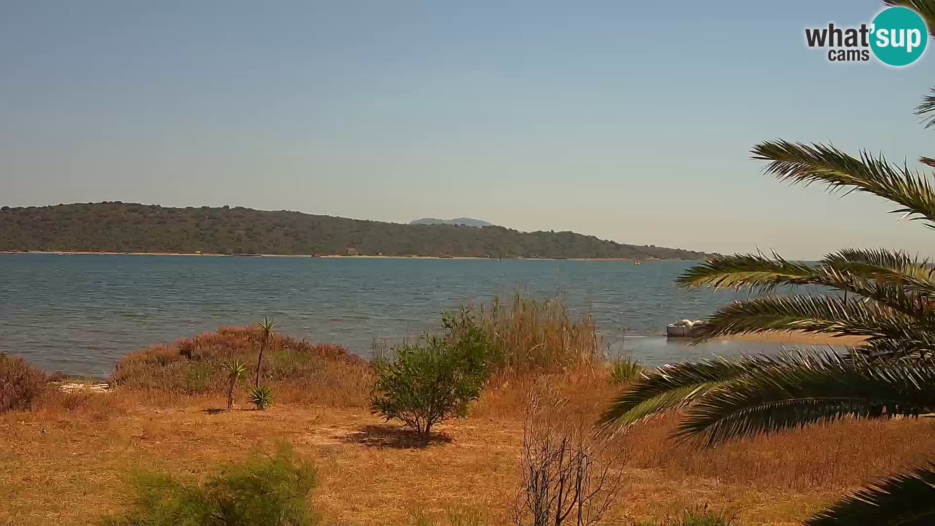 Camera web puerto de Olbia – entrada al puerto de Olbia