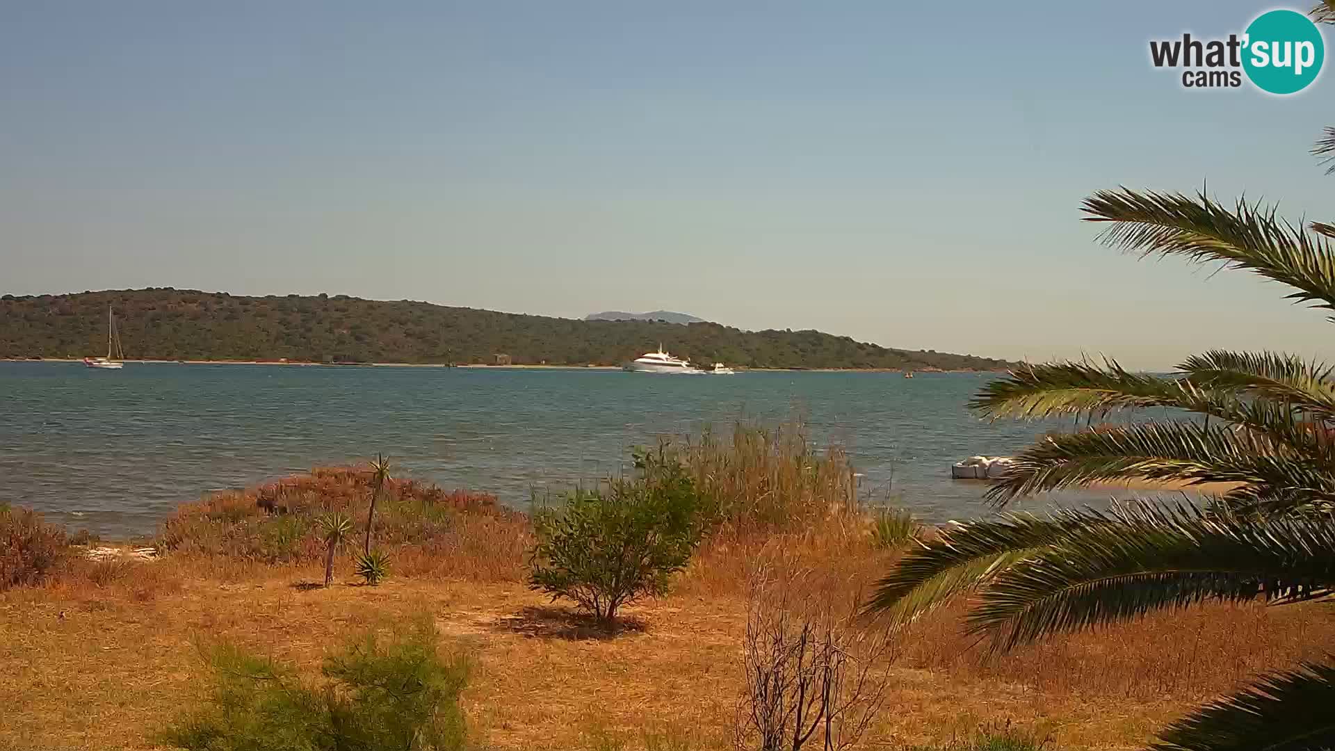 Webcam Hafen Olbia – Eingang zum Hafen von Olbia