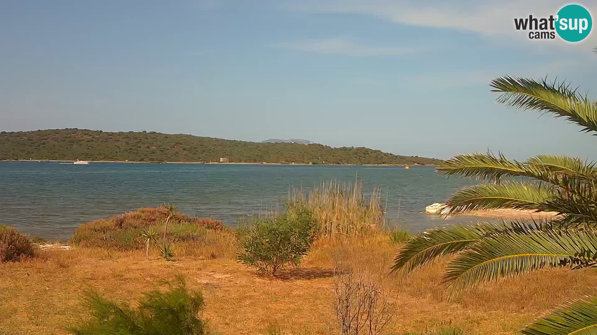 Web kamera Olbia luka – ulaz u luku Olbia