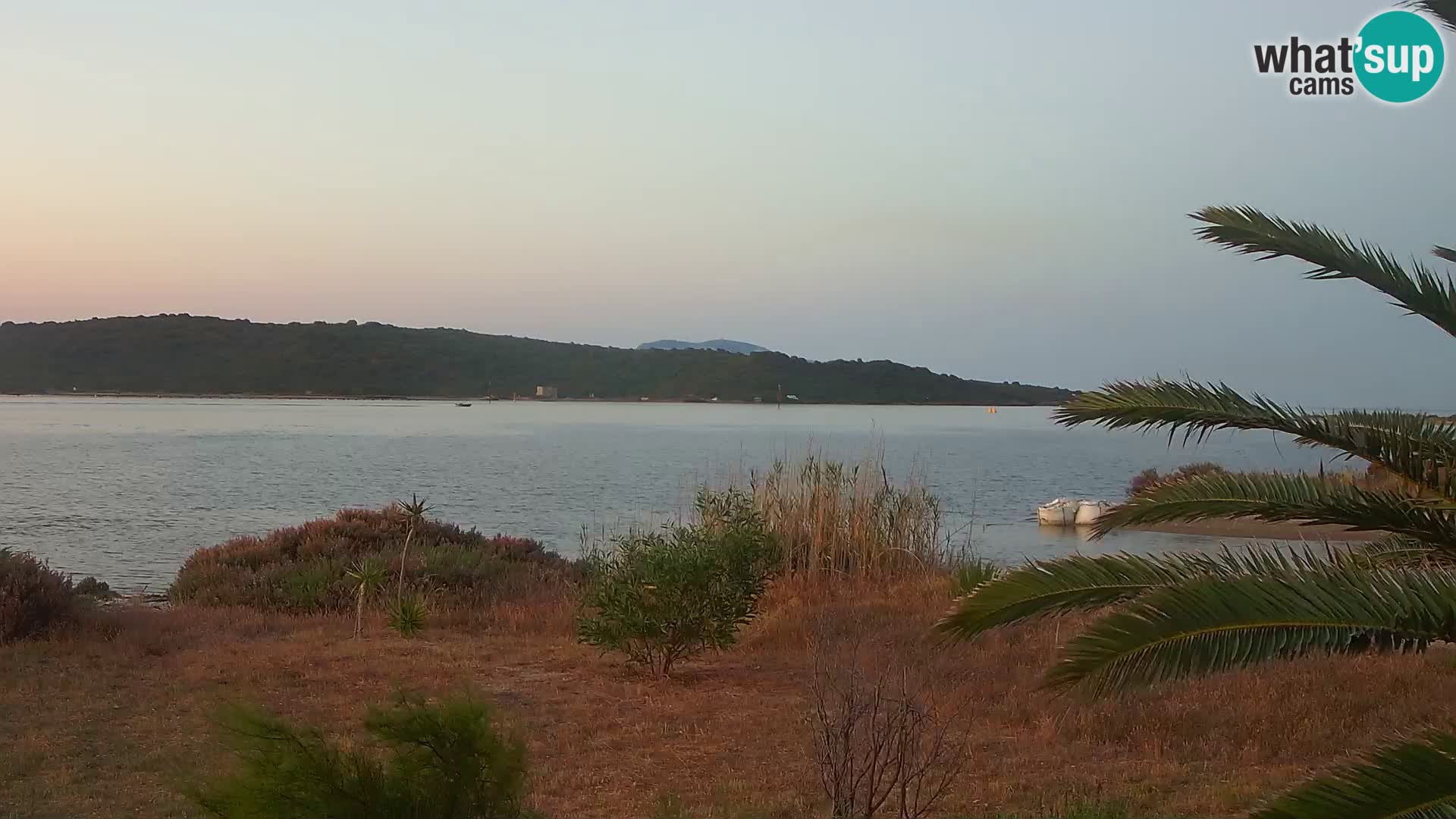 Webcam porto di Olbia – entrata nel porto di Olbia