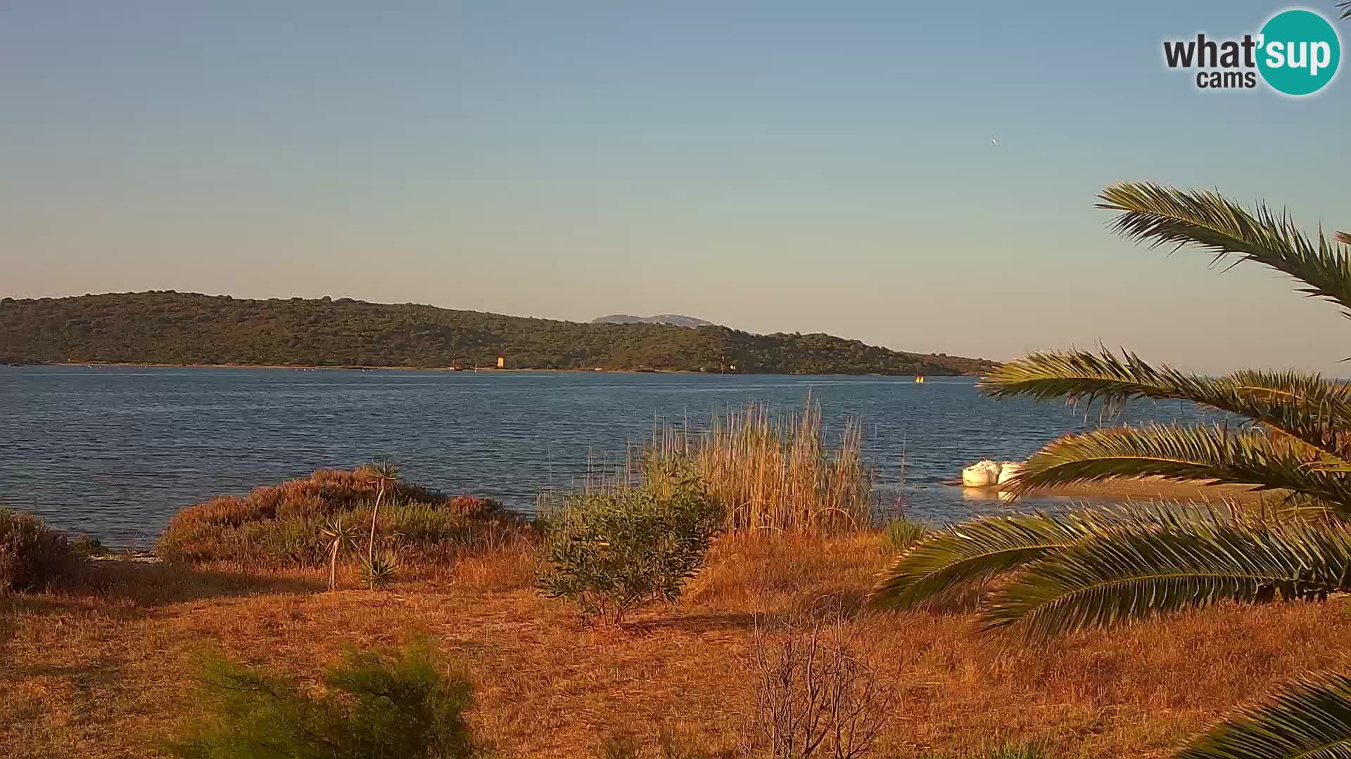 Webcam Hafen Olbia – Eingang zum Hafen von Olbia