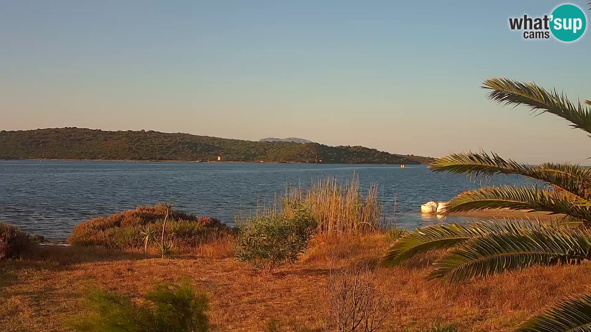 Webcam Olbia port – entrance to the port of Olbia