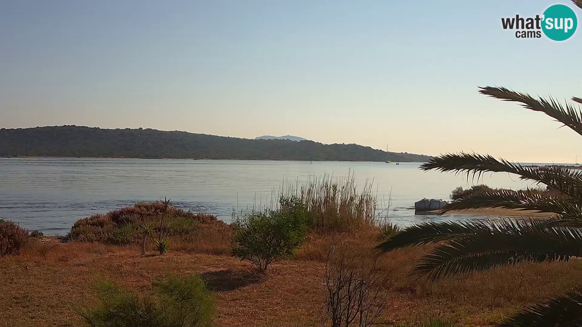 Webcam porto di Olbia – entrata nel porto di Olbia