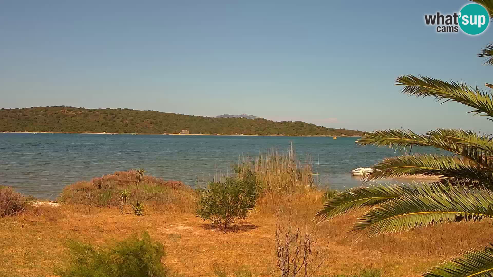 Webcam Olbia port – entrance to the port of Olbia