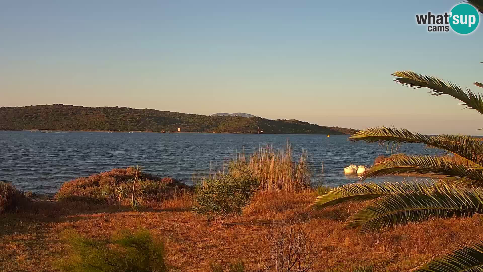 Web kamera Olbia luka – ulaz u luku Olbia