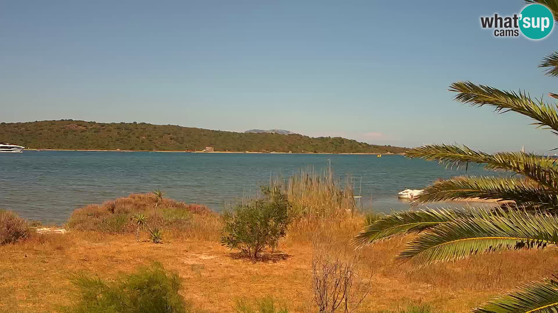 Webcam Olbia port – entrance to the port of Olbia