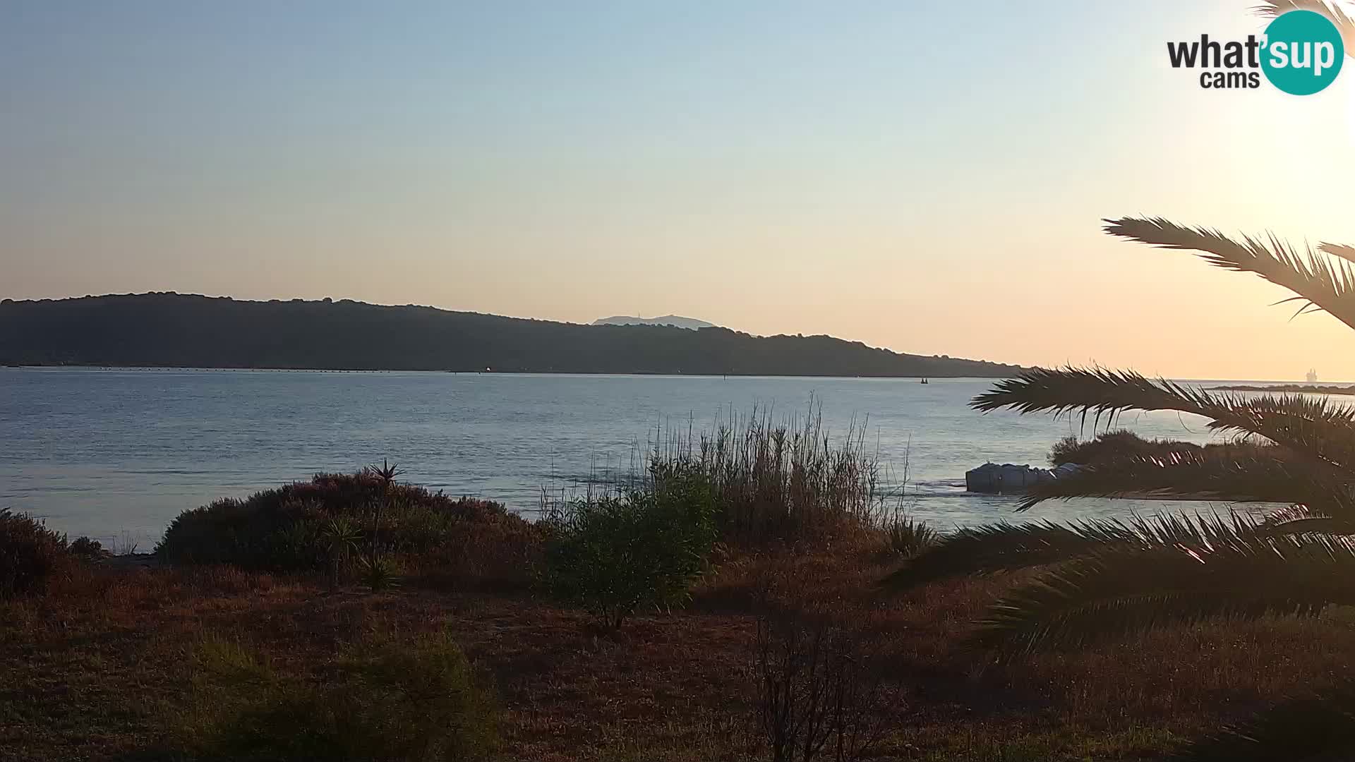 Web kamera Olbia luka – ulaz u luku Olbia