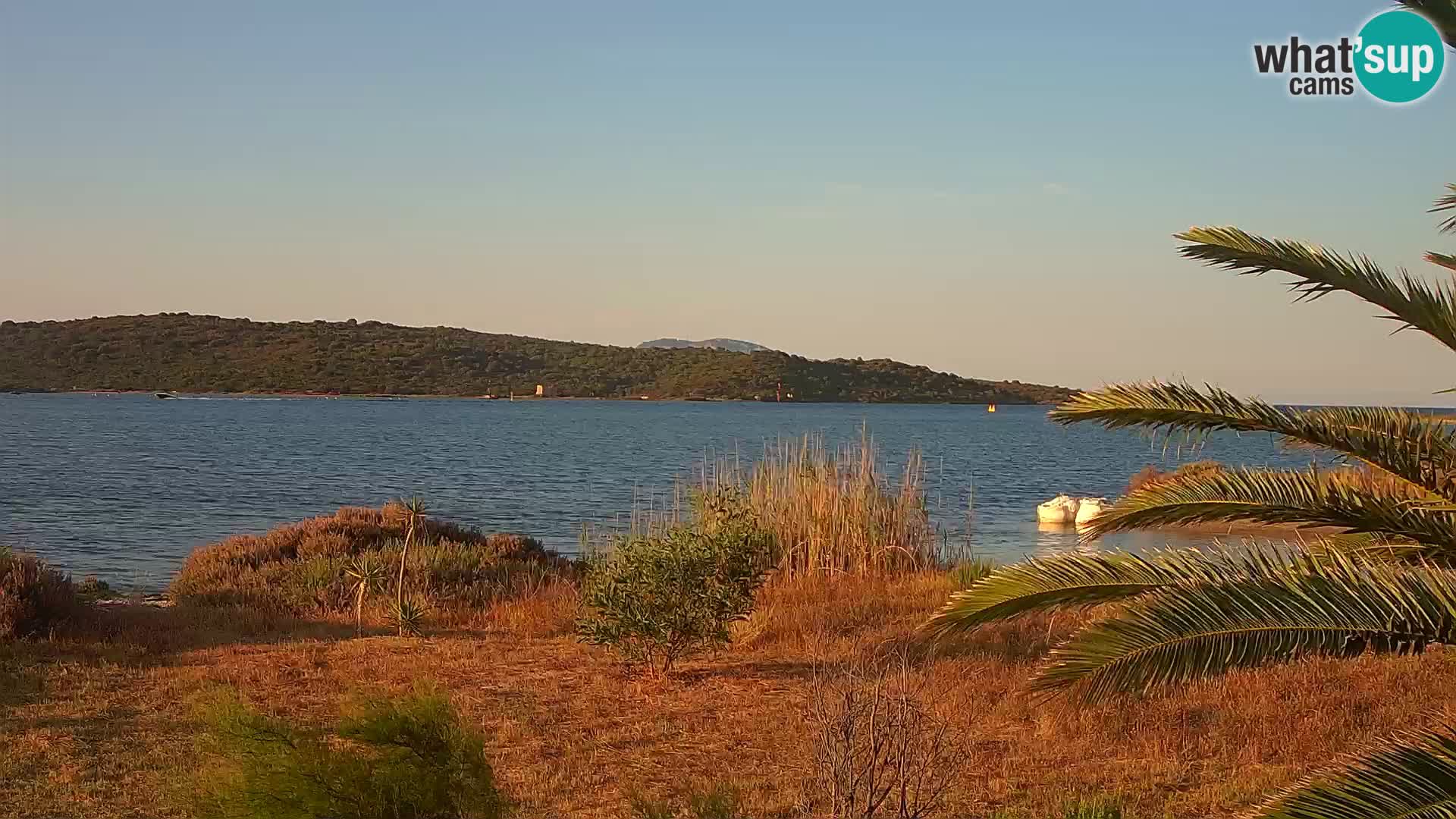 Camera web puerto de Olbia – entrada al puerto de Olbia