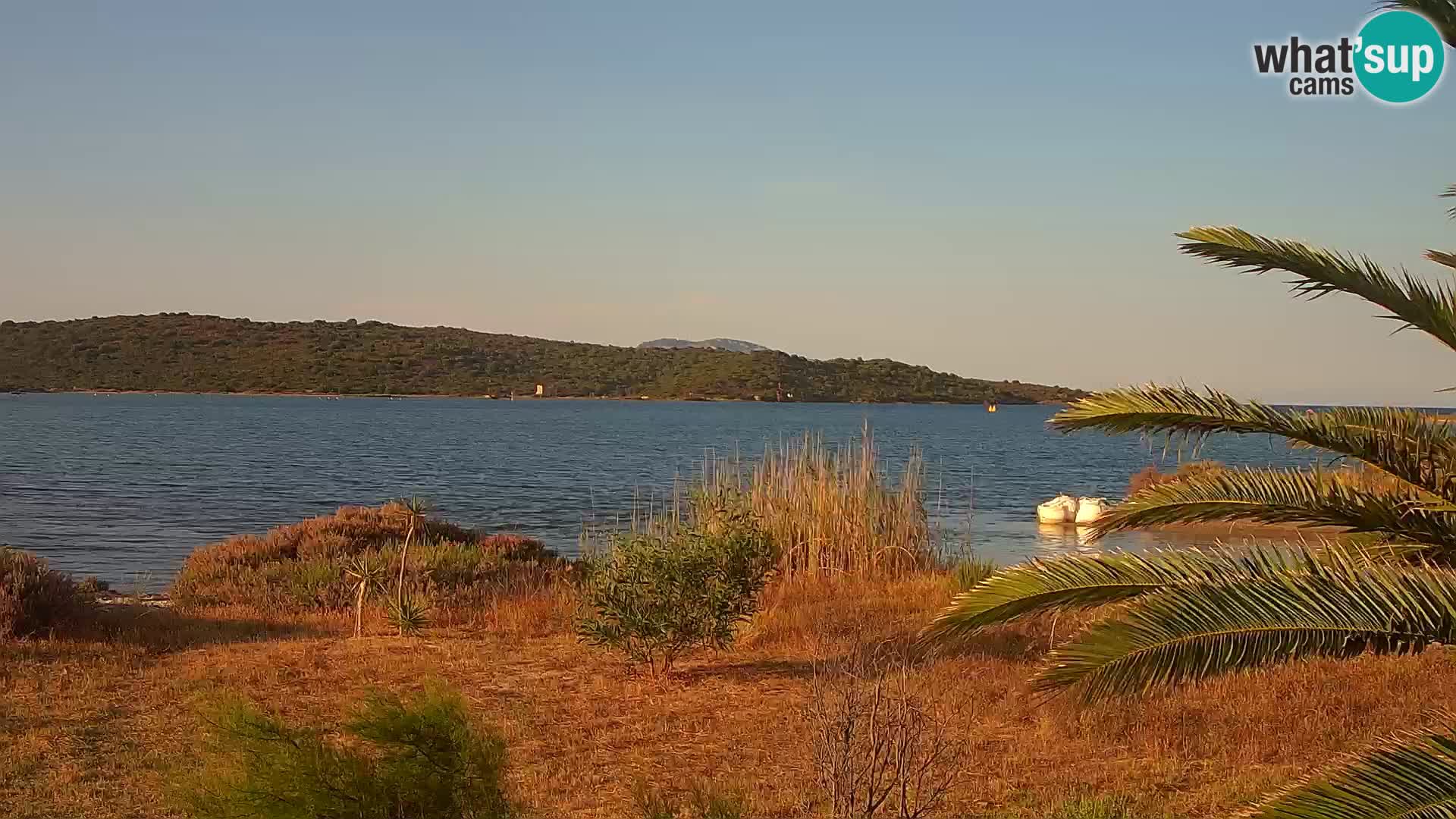 Webcam Olbia port – entrance to the port of Olbia