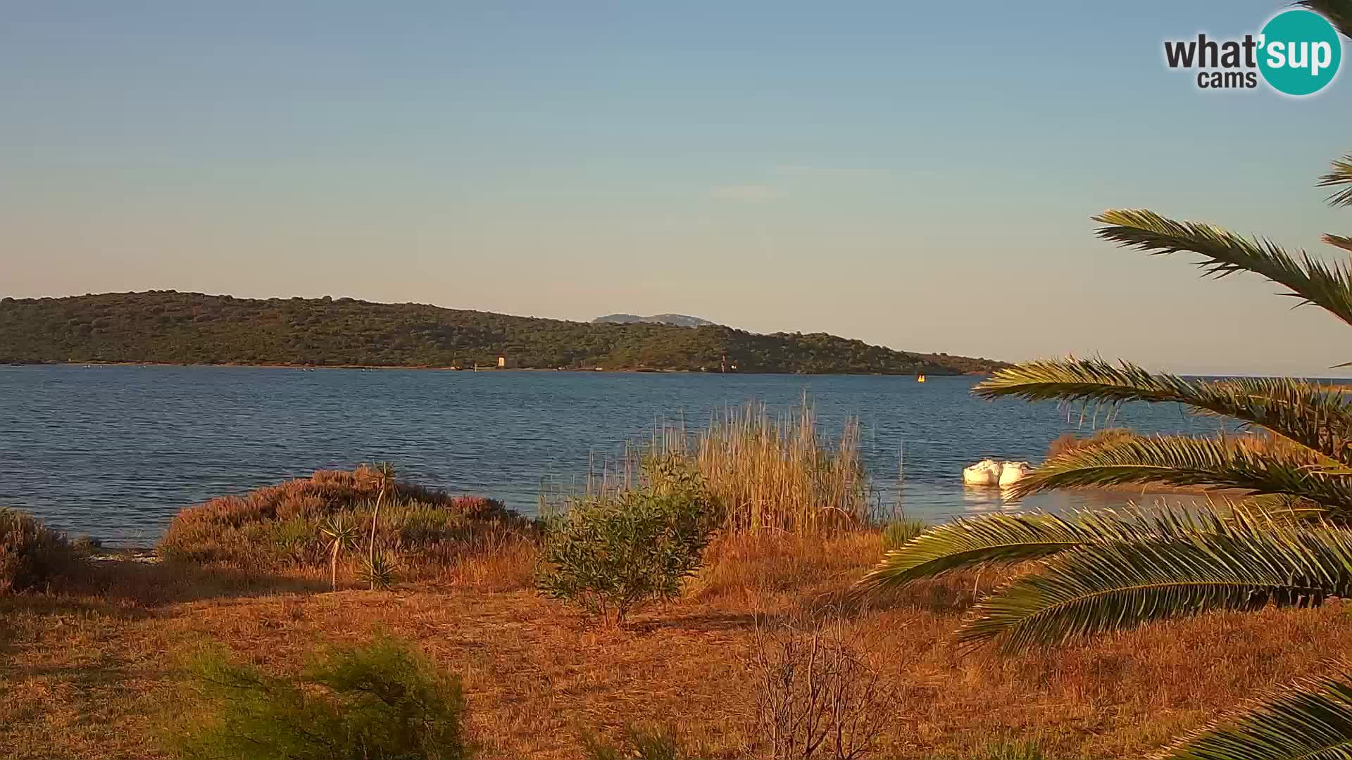 Webcam port d’Olbia – entrée du port d’Olbia
