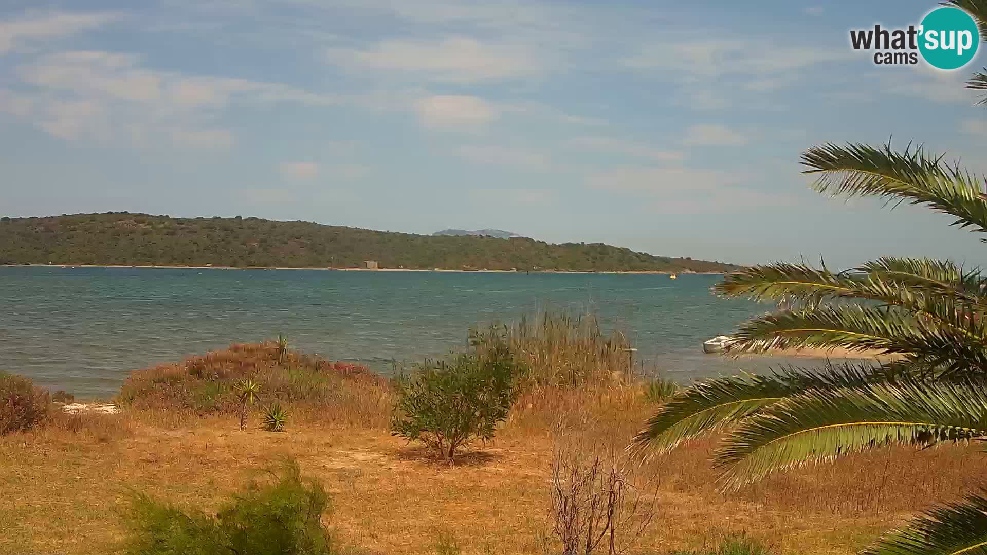 Webcam Hafen Olbia – Eingang zum Hafen von Olbia