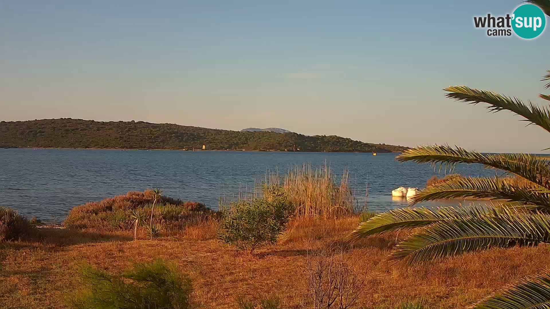 Camera web puerto de Olbia – entrada al puerto de Olbia