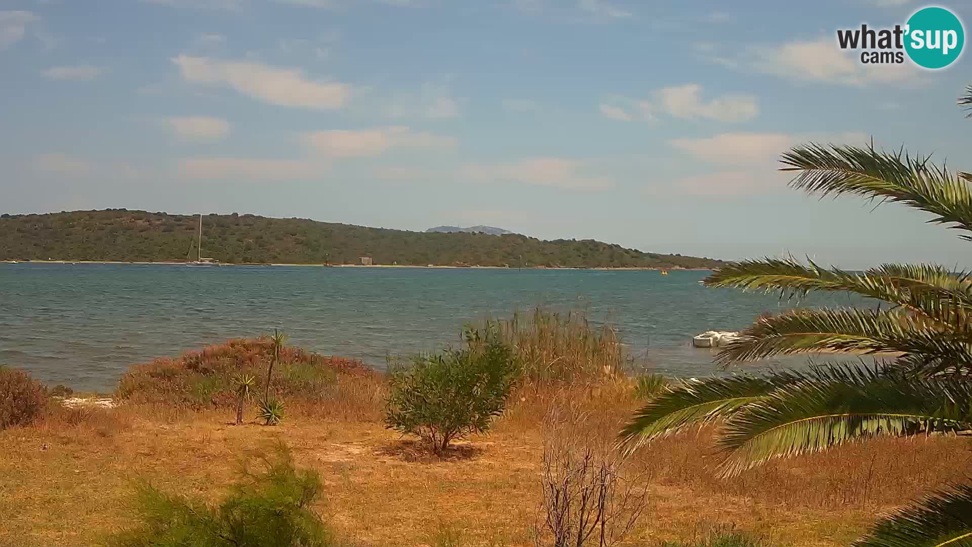 Webcam Hafen Olbia – Eingang zum Hafen von Olbia