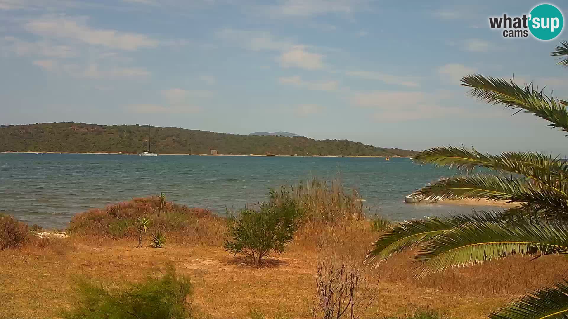 Webcam port d’Olbia – entrée du port d’Olbia