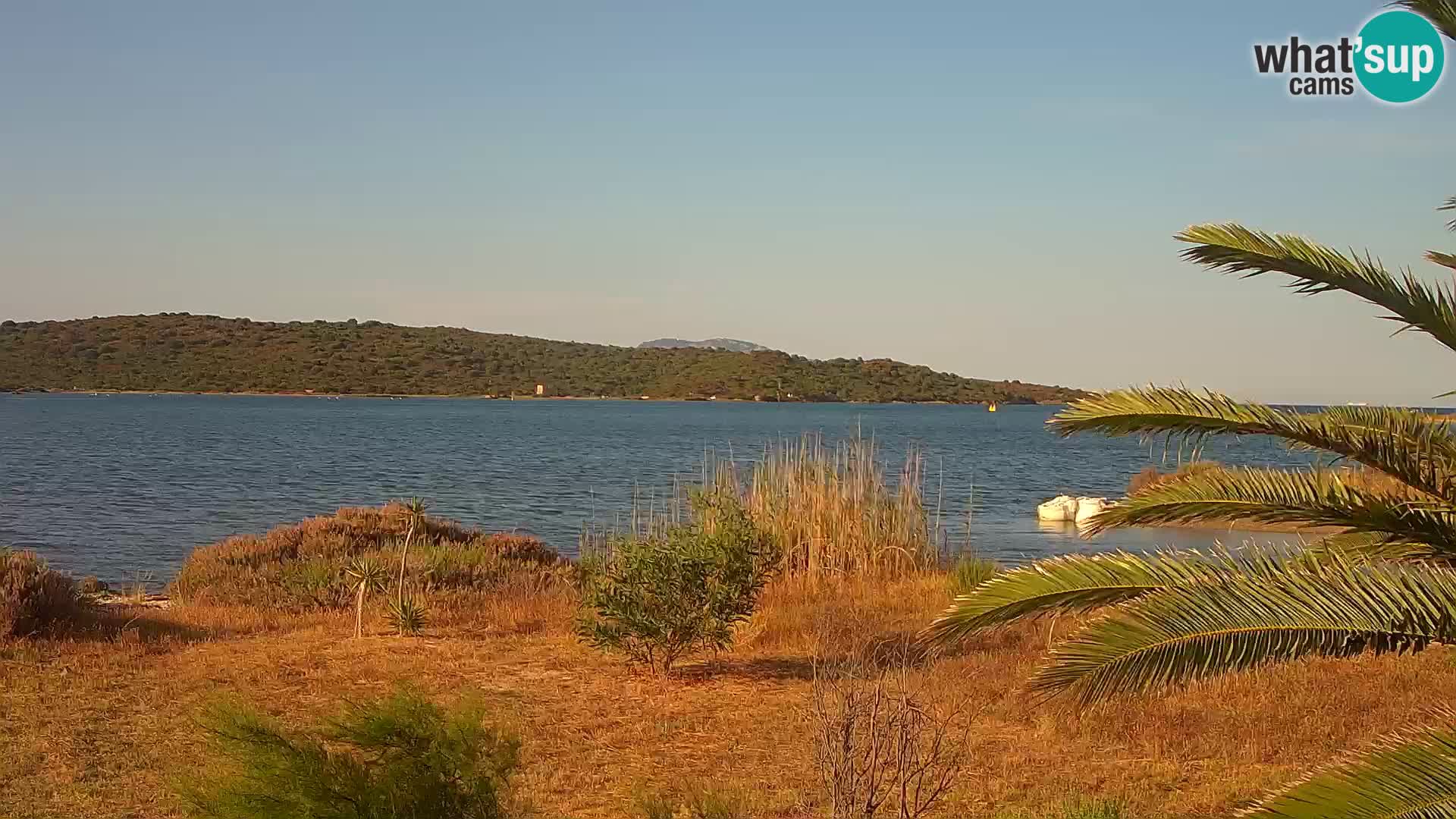 Web kamera Olbia luka – ulaz u luku Olbia