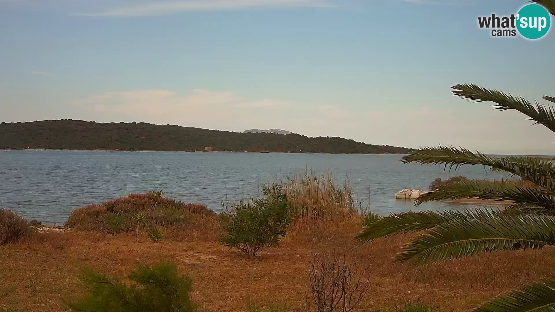 Webcam Hafen Olbia – Eingang zum Hafen von Olbia