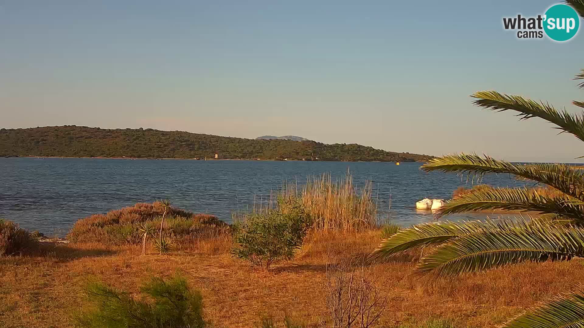 Webcam Olbia port – entrance to the port of Olbia