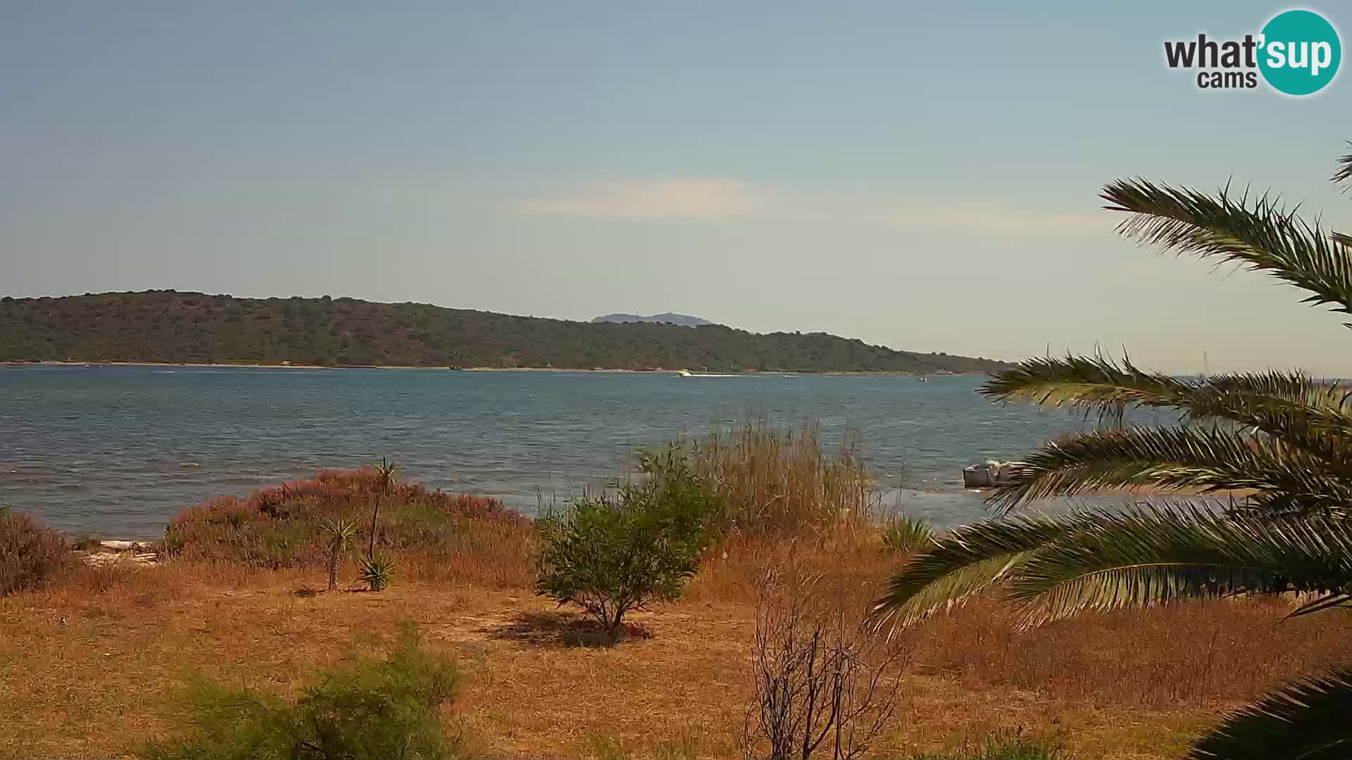 Webcam port d’Olbia – entrée du port d’Olbia