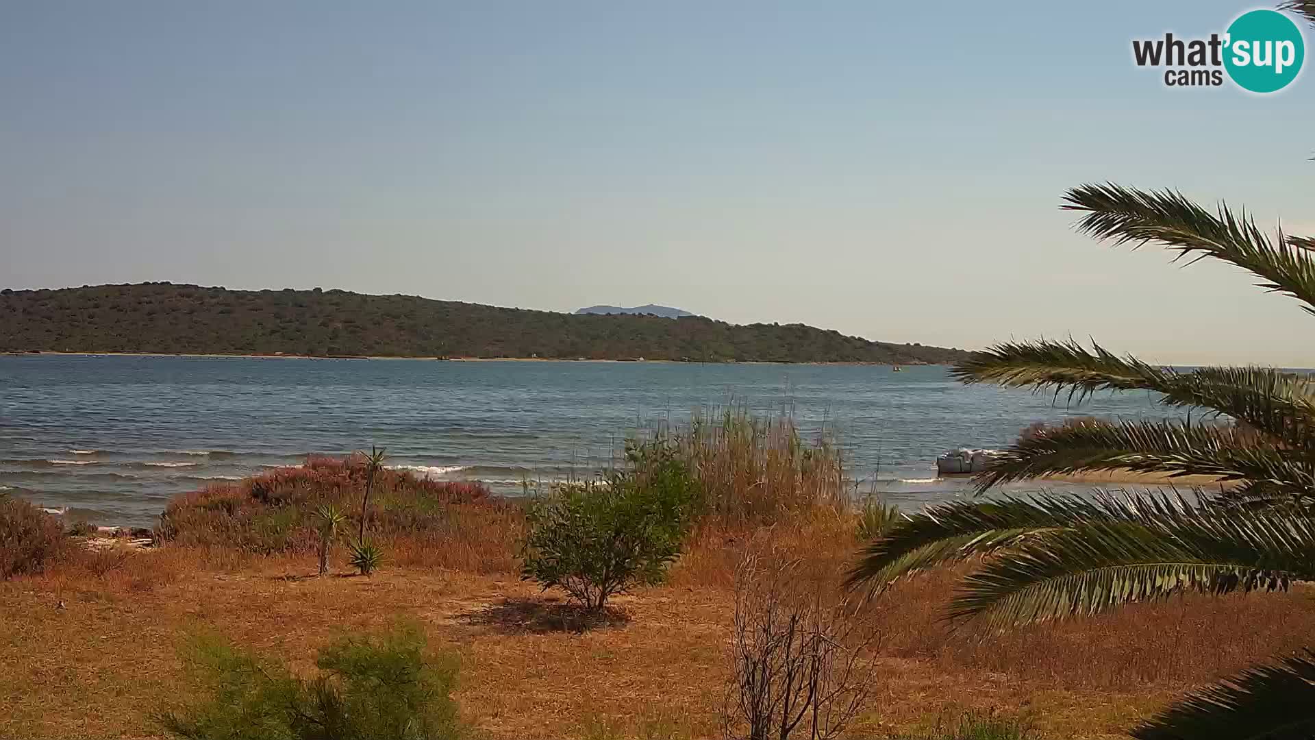 Webcam Hafen Olbia – Eingang zum Hafen von Olbia