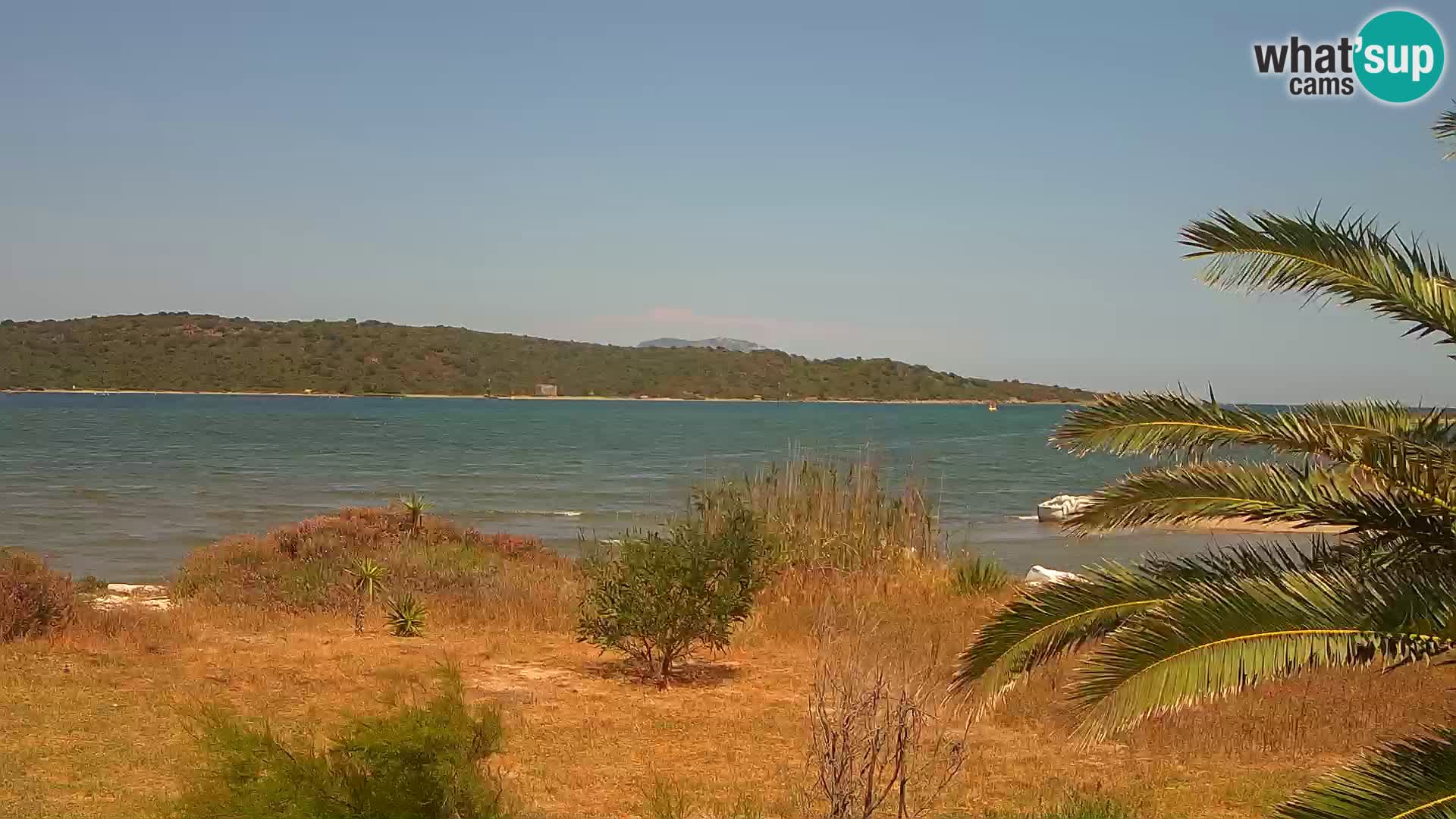 Web kamera Olbia luka – ulaz u luku Olbia