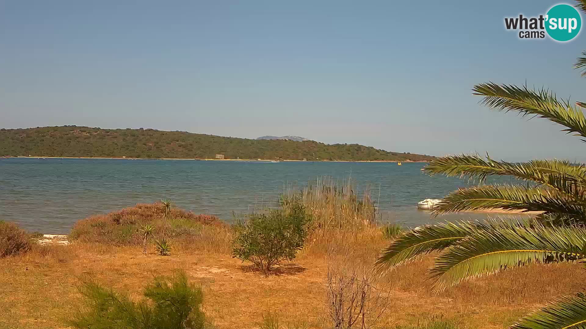 Web kamera Olbia luka – ulaz u luku Olbia