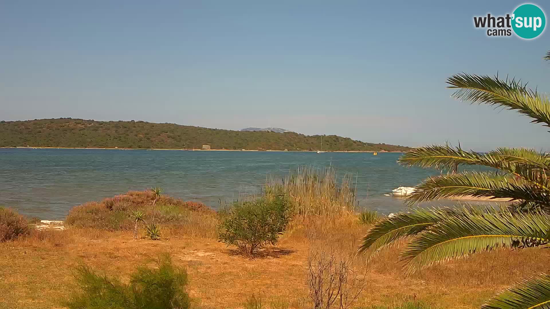 Webcam Olbia port – entrance to the port of Olbia