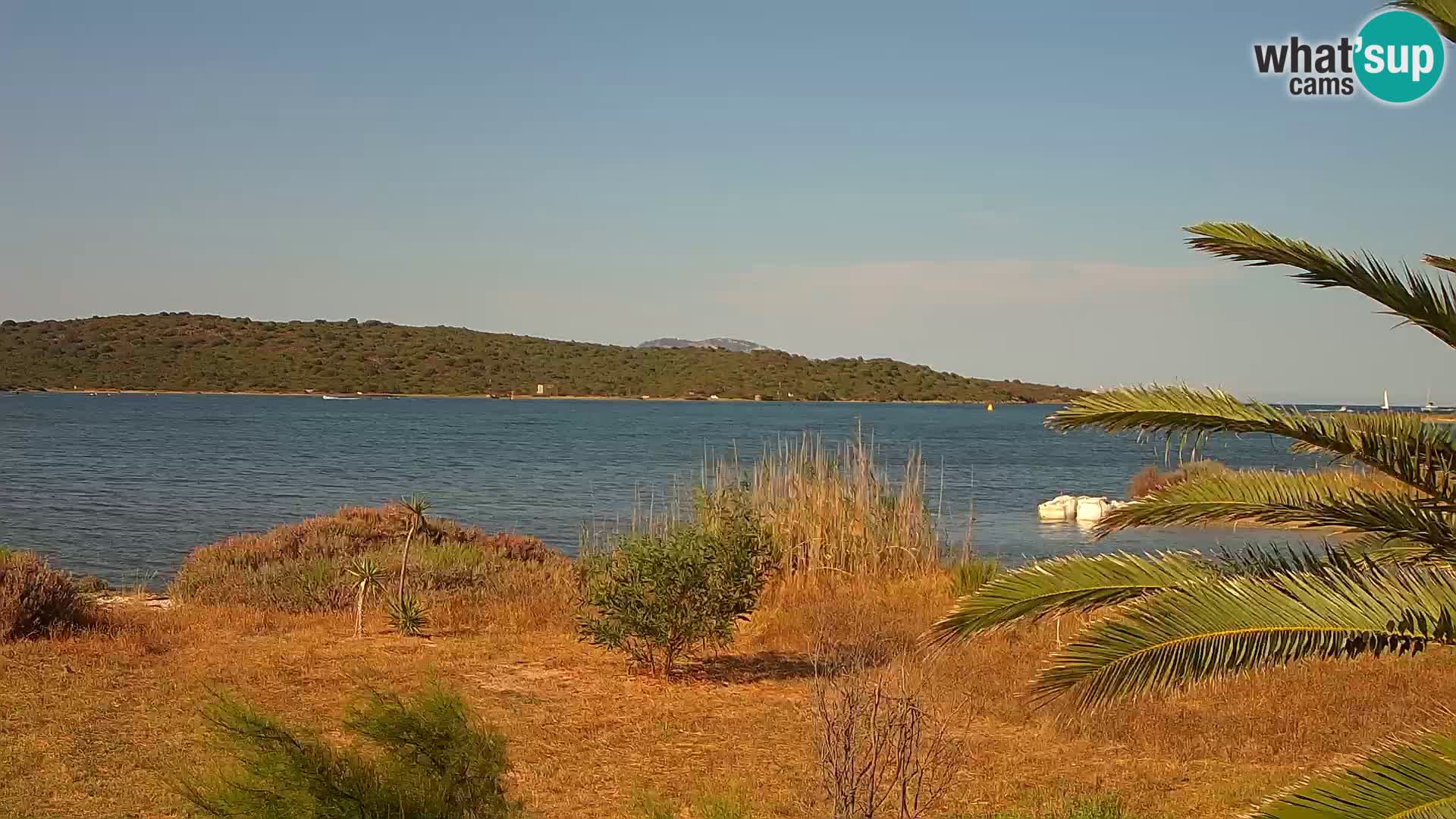Webcam Olbia port – entrance to the port of Olbia