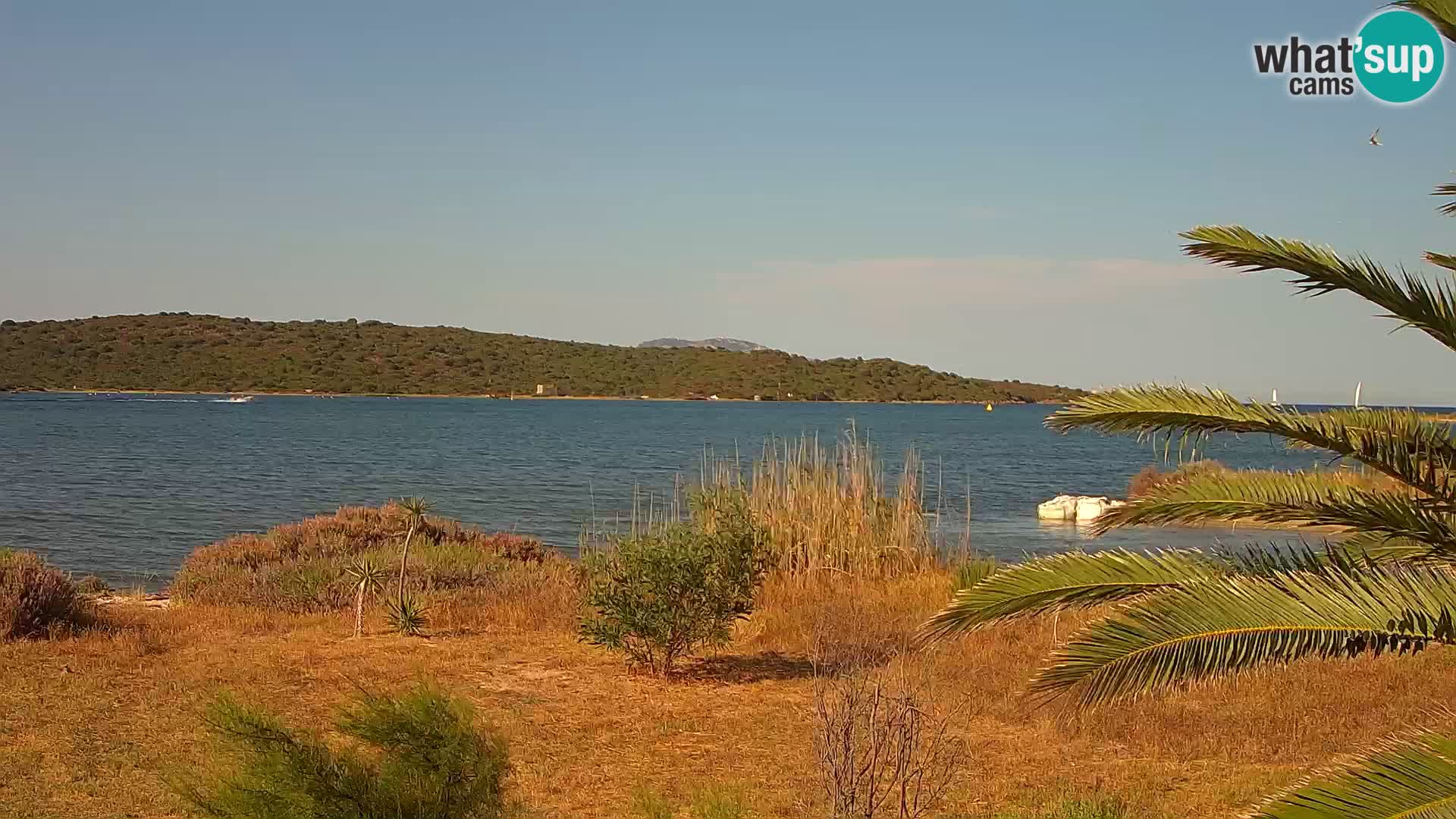 Webcam porto di Olbia – entrata nel porto di Olbia