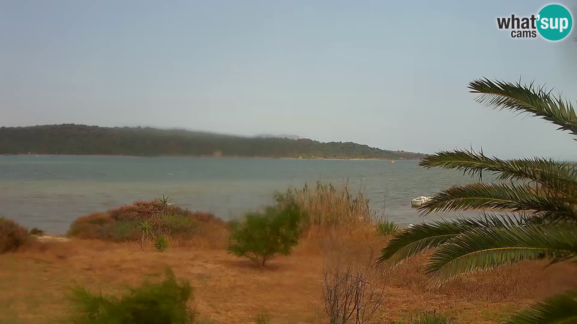 Webcam Olbia port – entrance to the port of Olbia