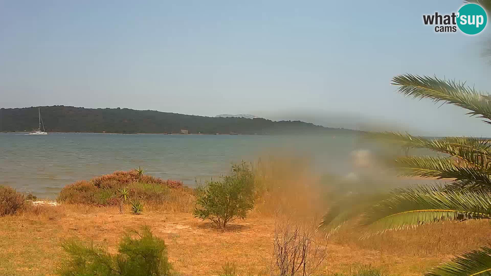 Webcam Hafen Olbia – Eingang zum Hafen von Olbia