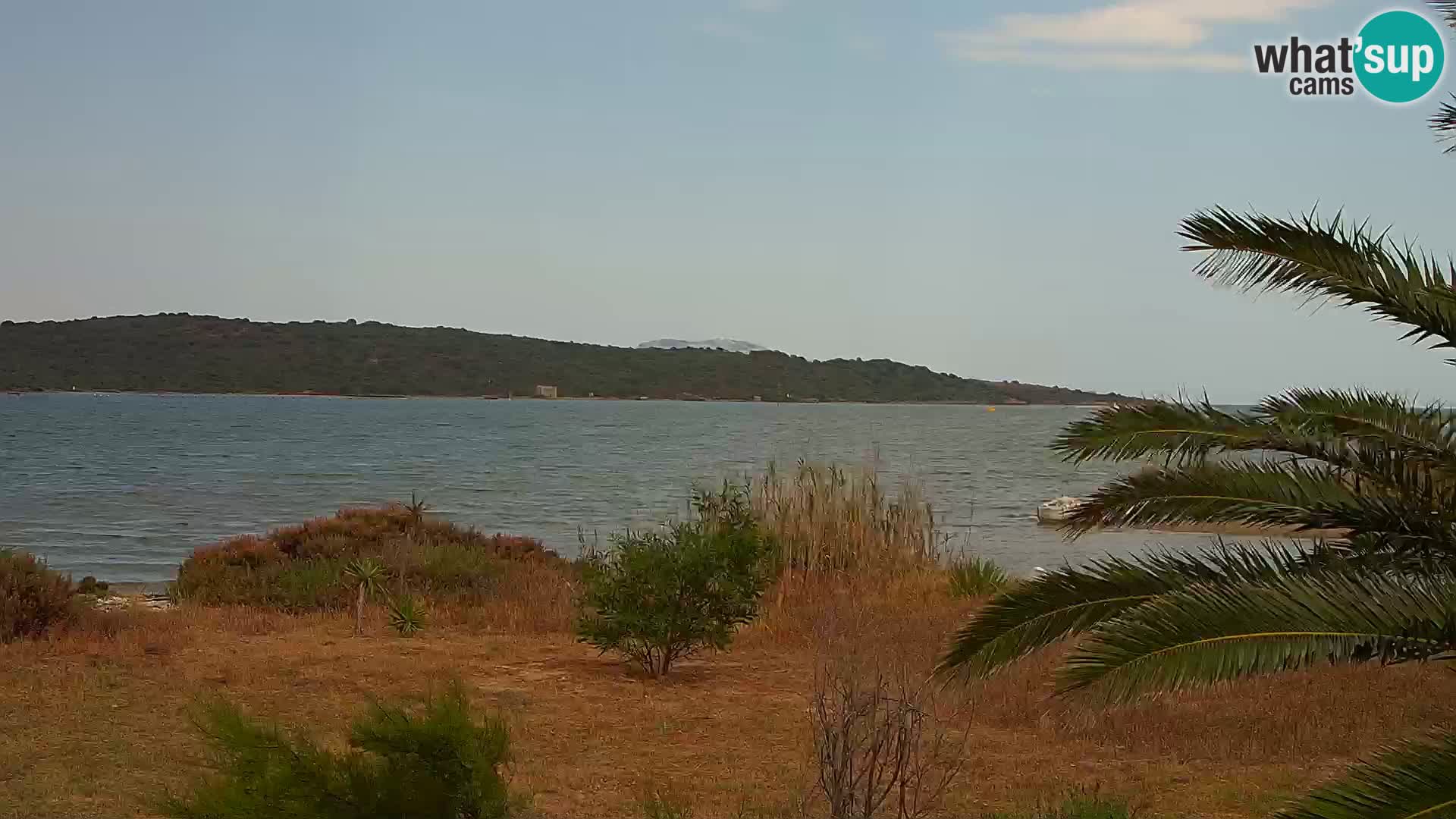 Webcam Hafen Olbia – Eingang zum Hafen von Olbia