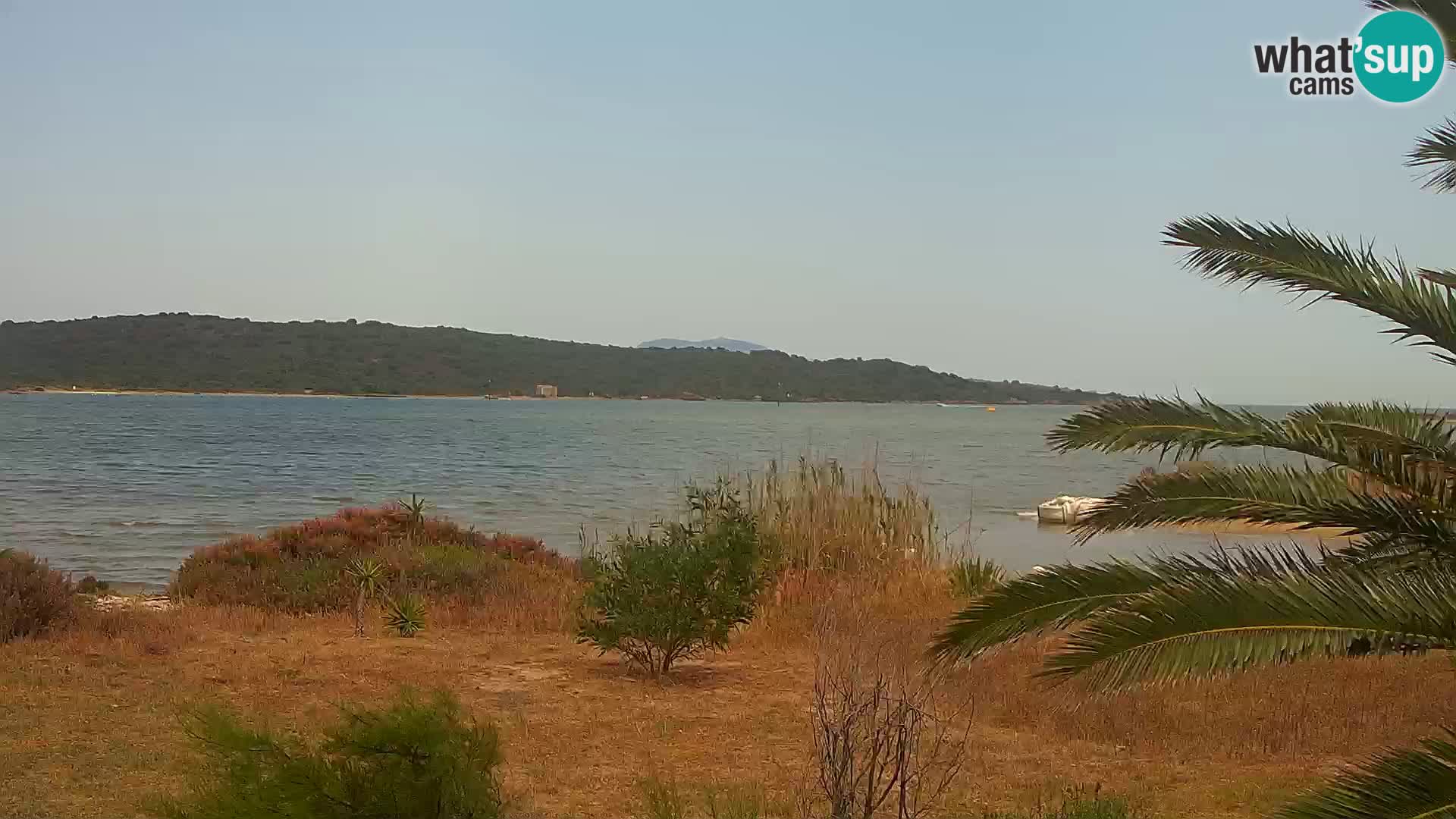 Webcam Hafen Olbia – Eingang zum Hafen von Olbia