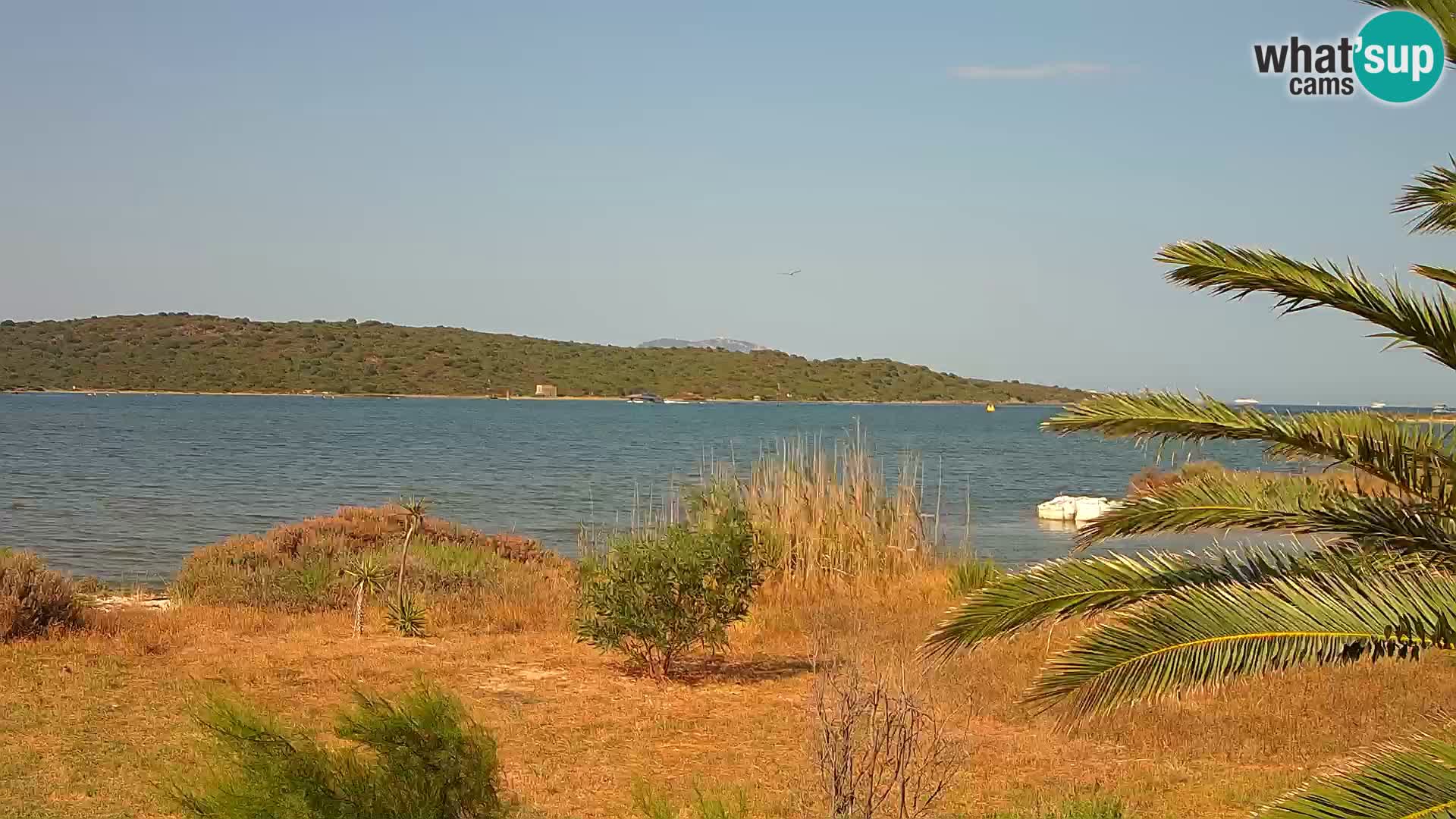 Spletna kamera pristanišče Olbia – vhod v pristanišče Olbia