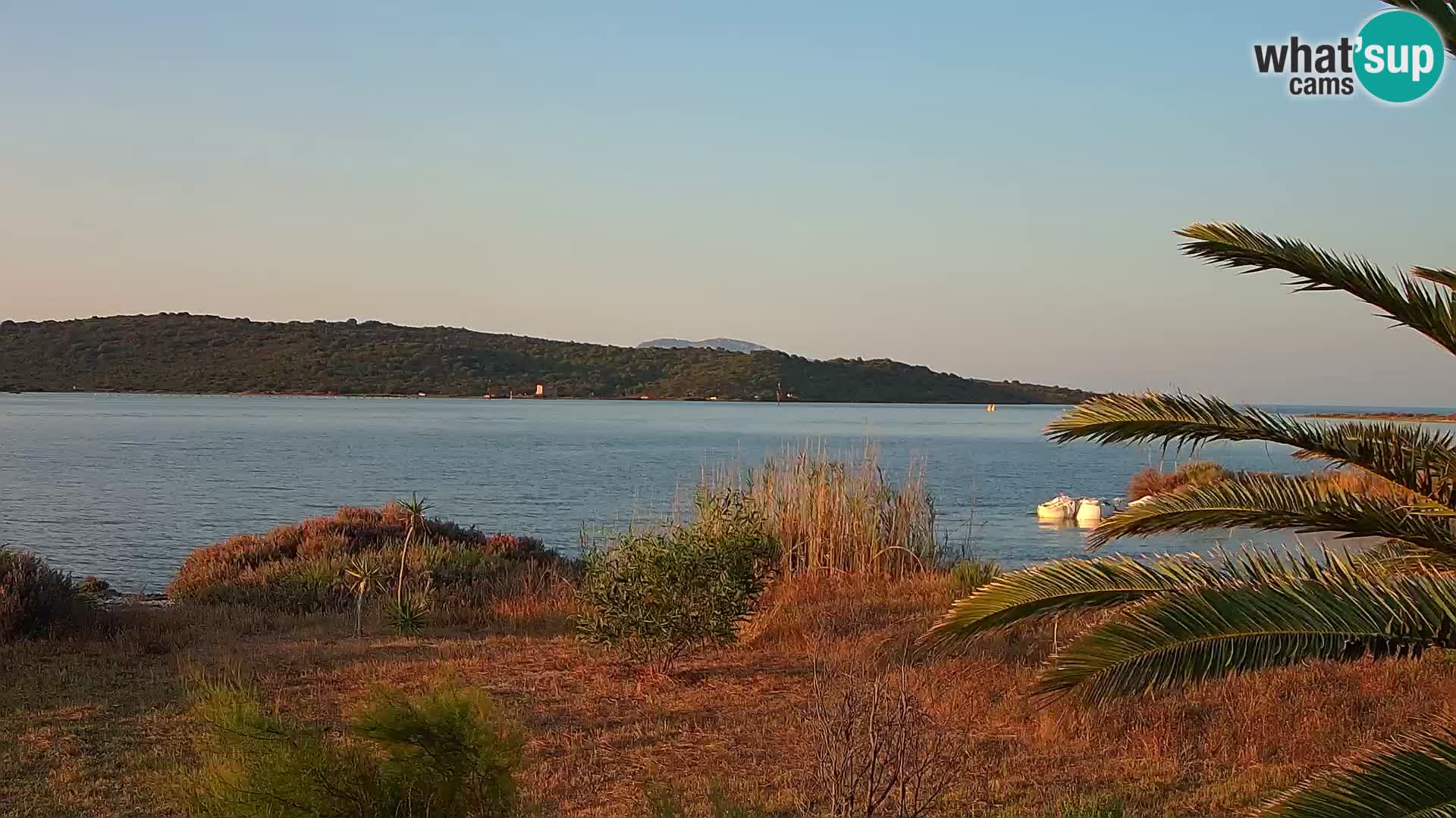 Webcam porto di Olbia – entrata nel porto di Olbia