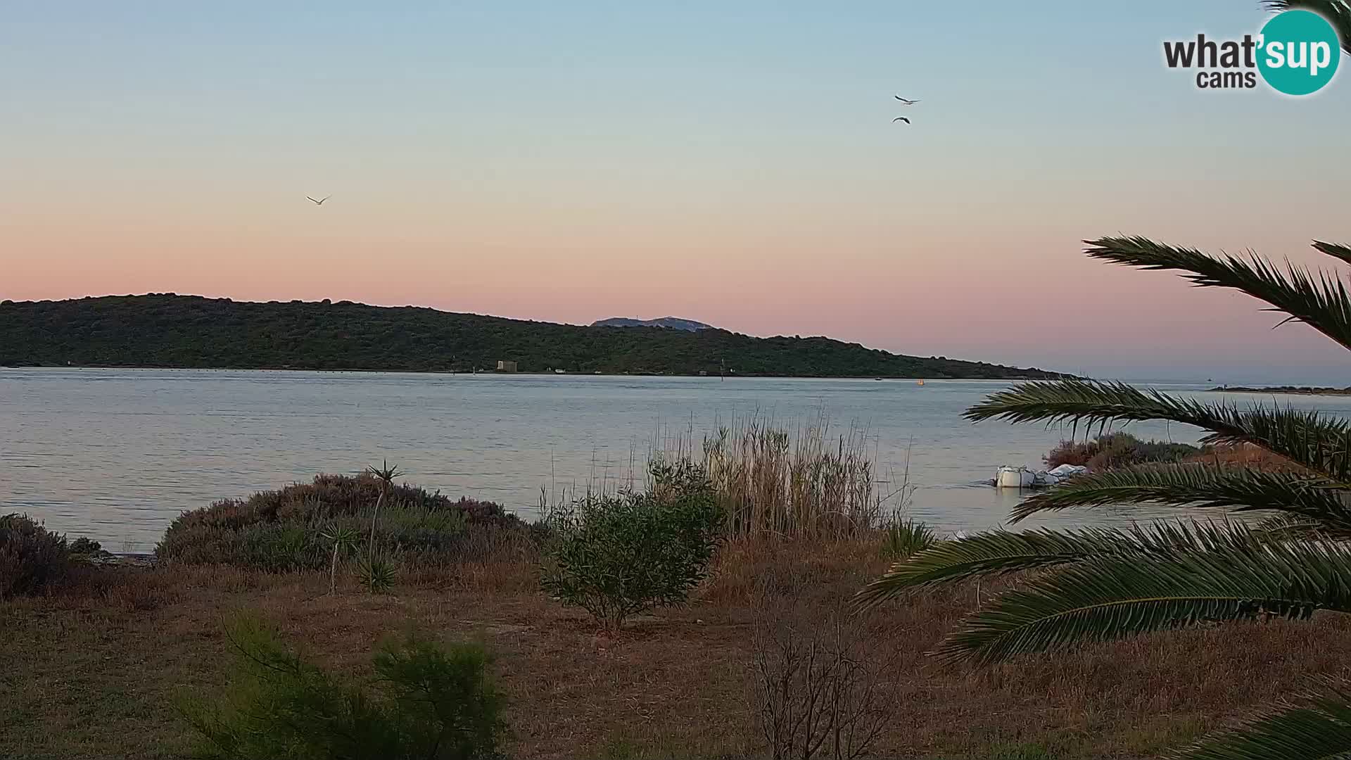Webcam porto di Olbia – entrata nel porto di Olbia