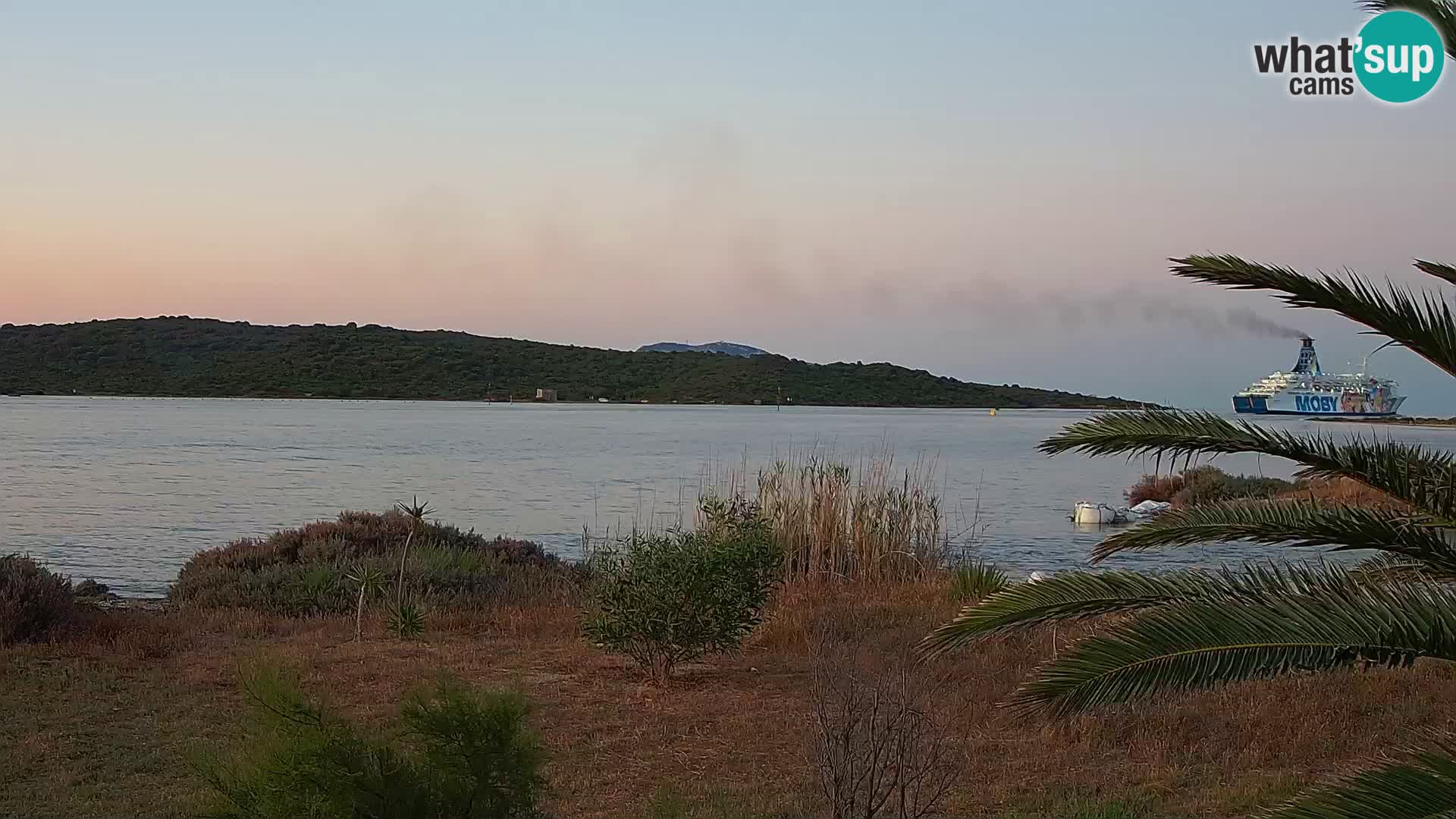Webcam Olbia port – entrance to the port of Olbia