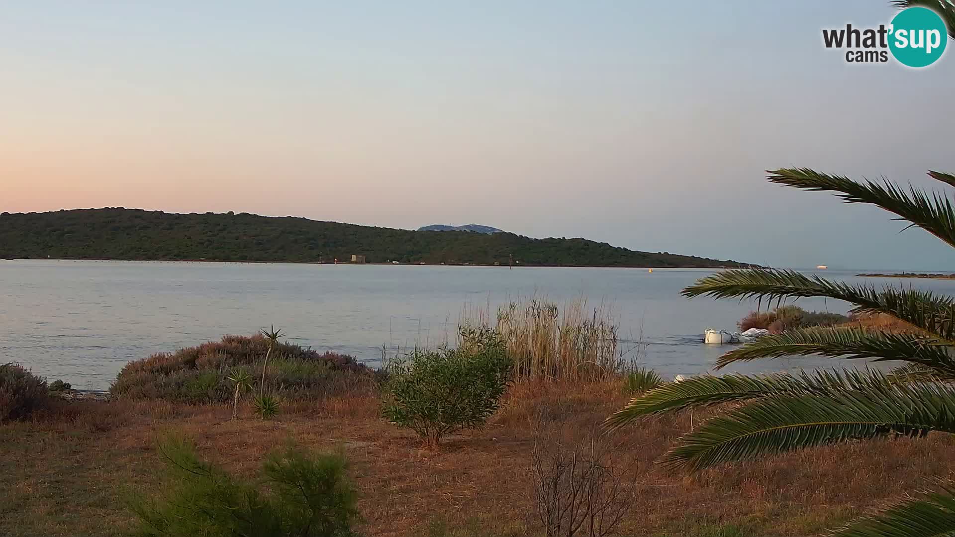 Webcam Olbia port – entrance to the port of Olbia