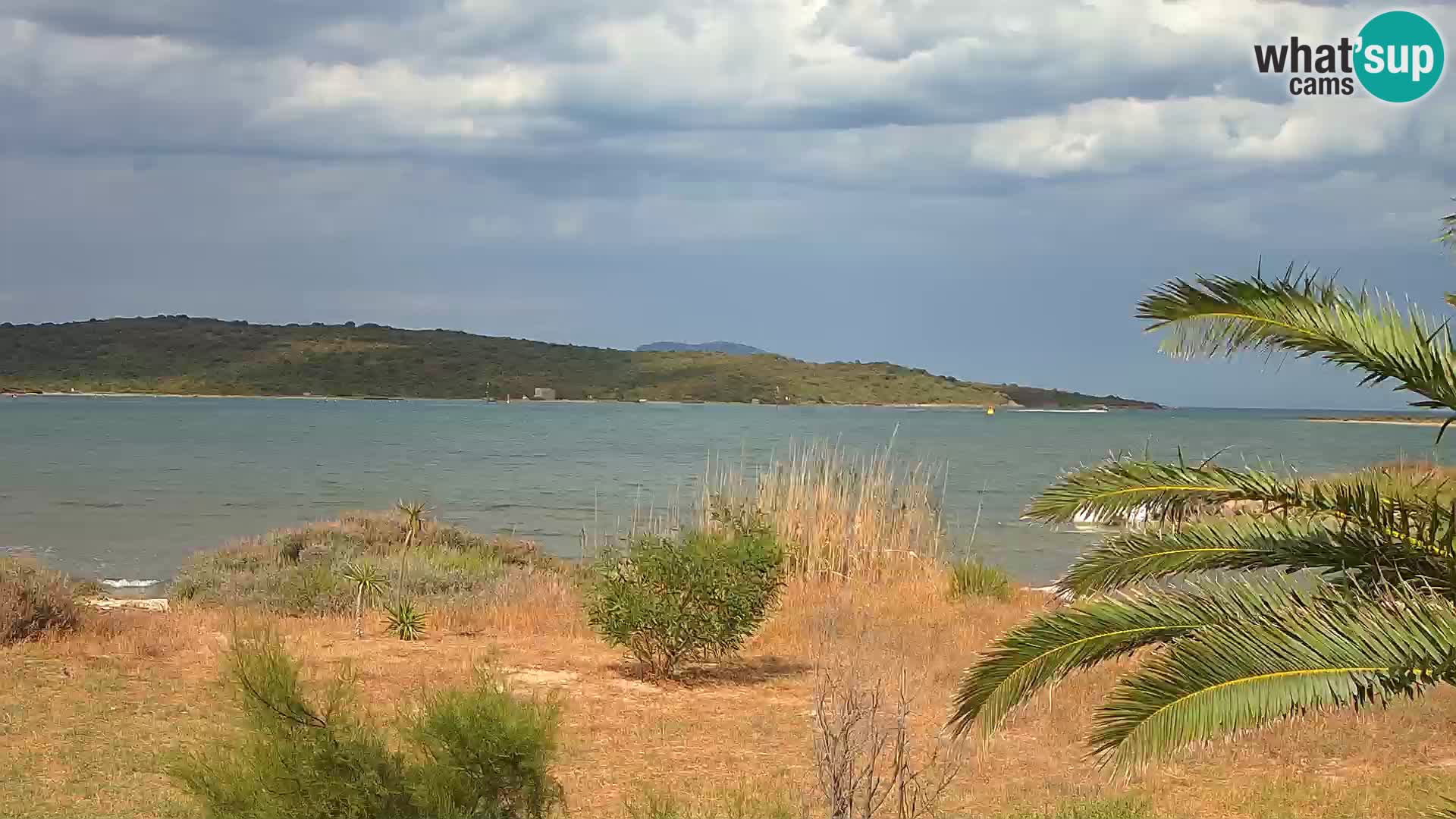 Webcam porto di Olbia – entrata nel porto di Olbia
