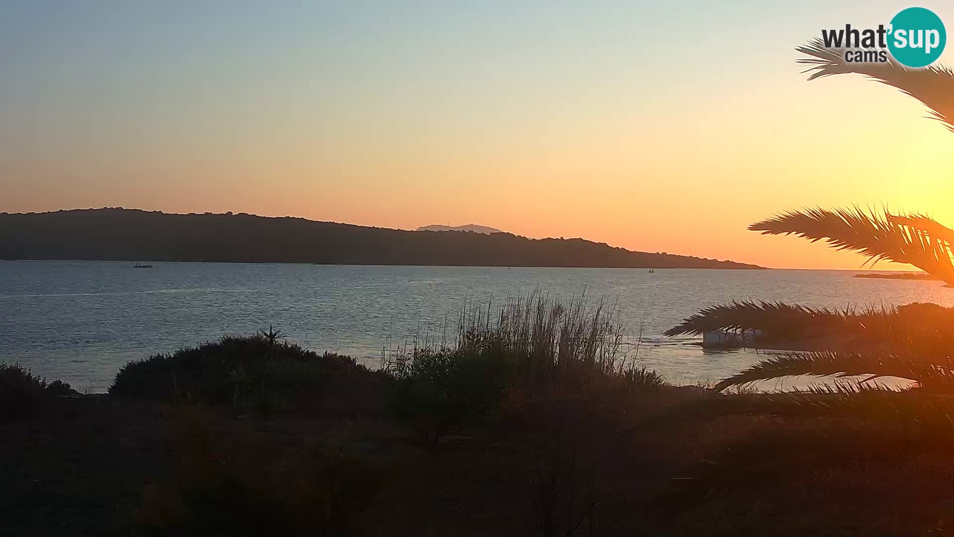 Webcam Olbia port – entrance to the port of Olbia