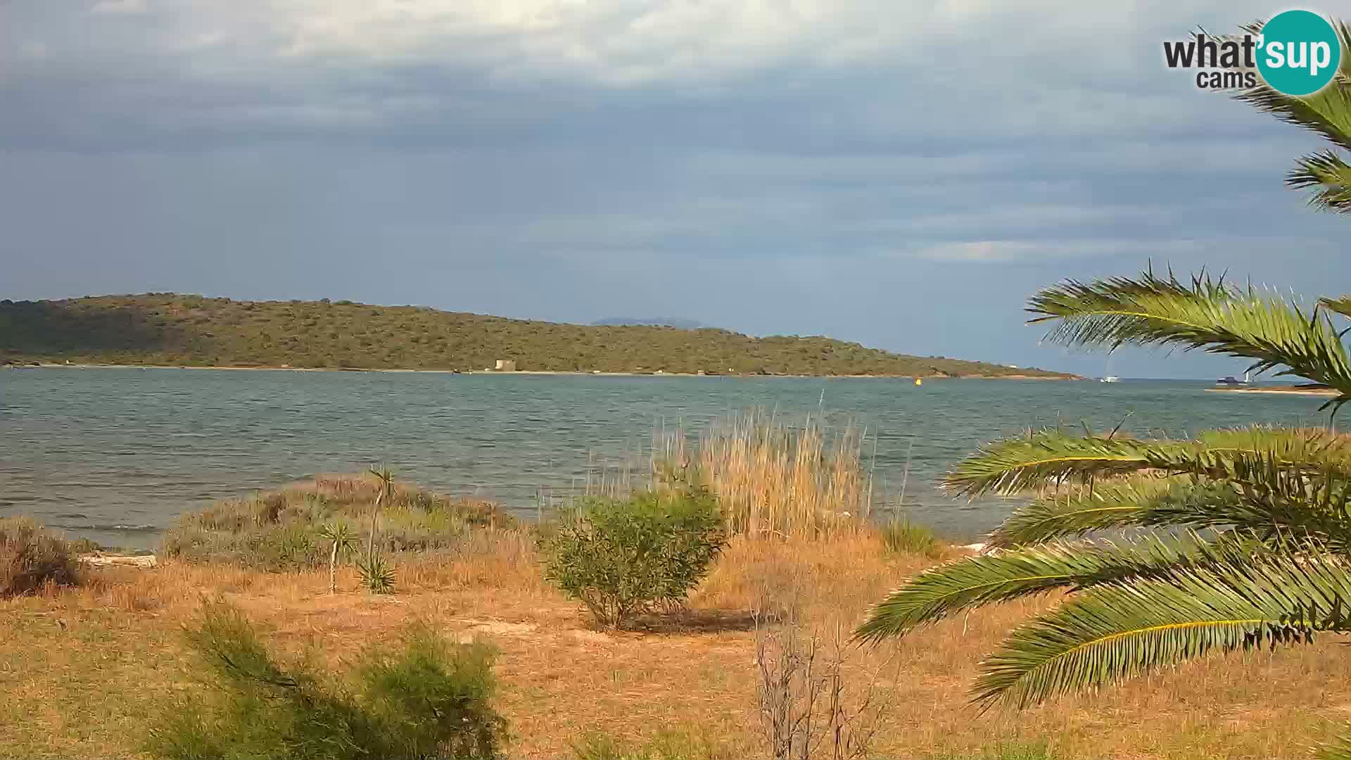 Webcam Olbia port – entrance to the port of Olbia