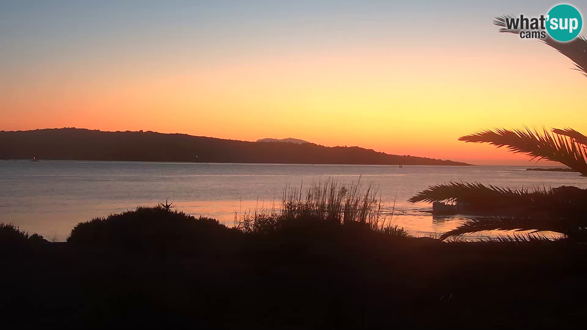 Web kamera Olbia luka – ulaz u luku Olbia