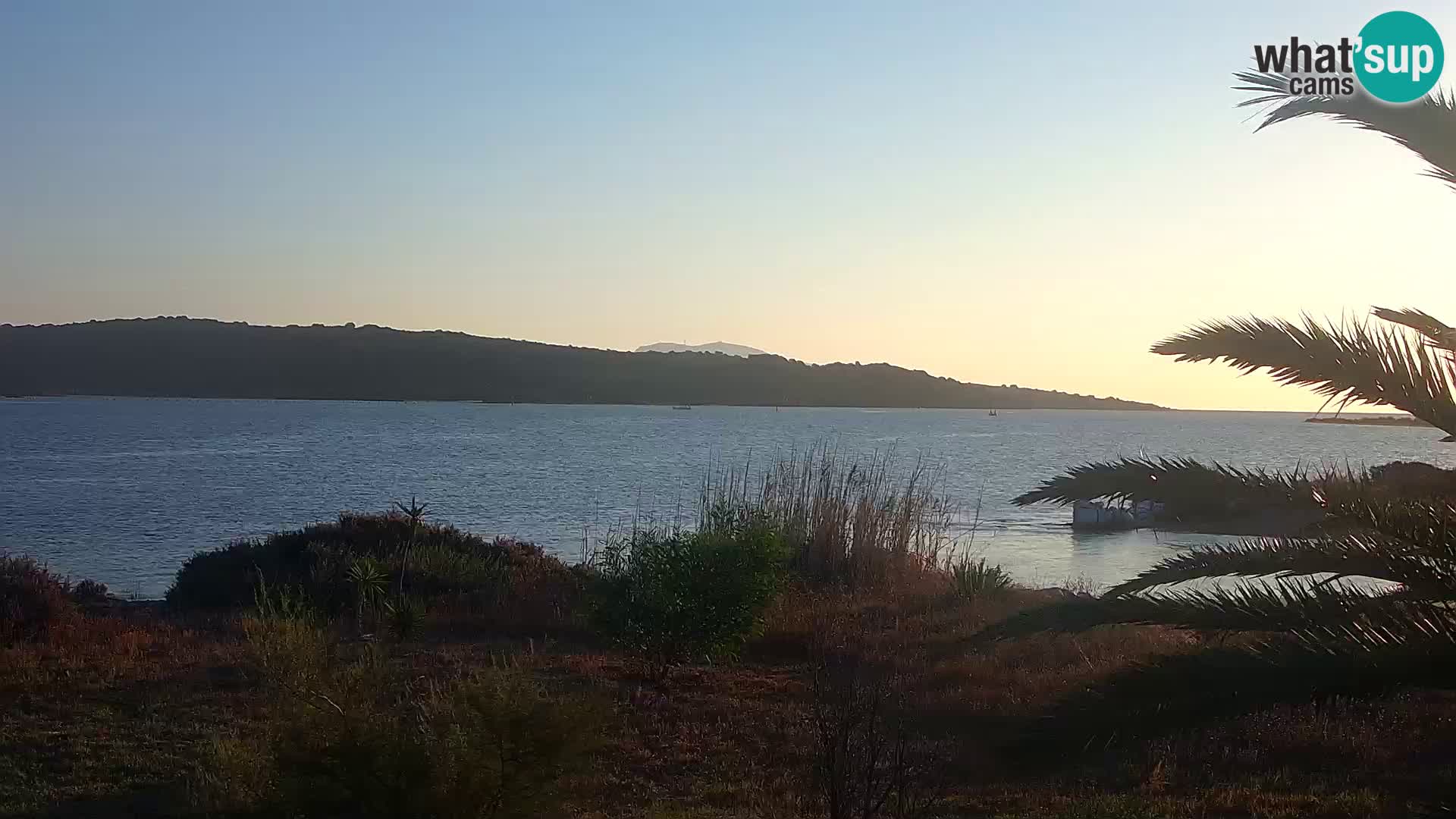 Webcam Olbia port – entrance to the port of Olbia