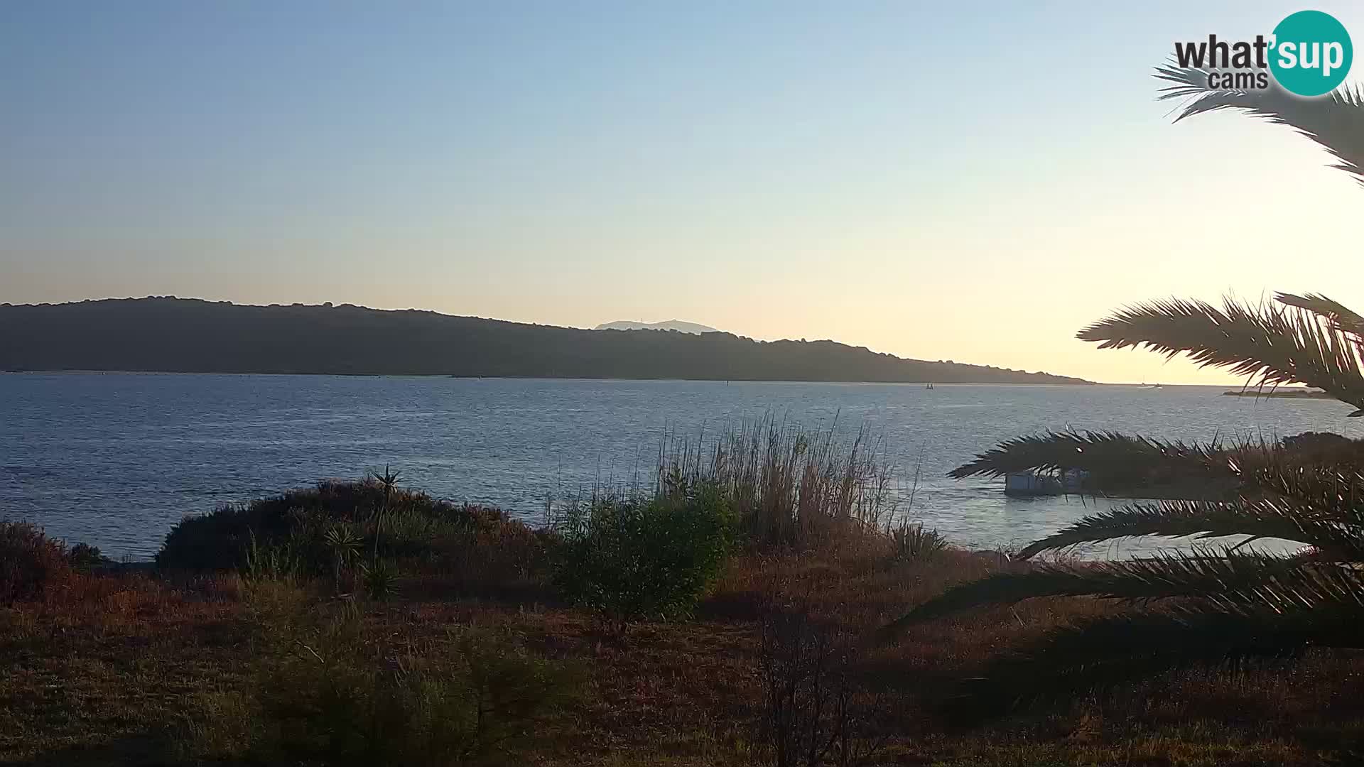 Webcam Olbia port – entrance to the port of Olbia
