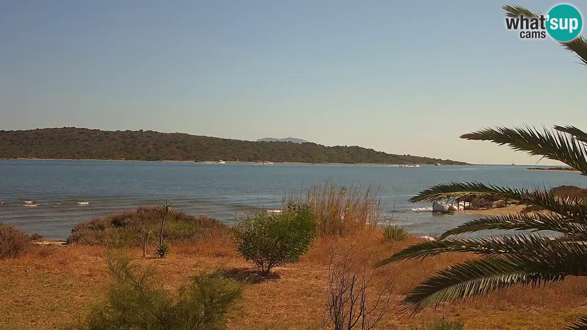 Camera web puerto de Olbia – entrada al puerto de Olbia