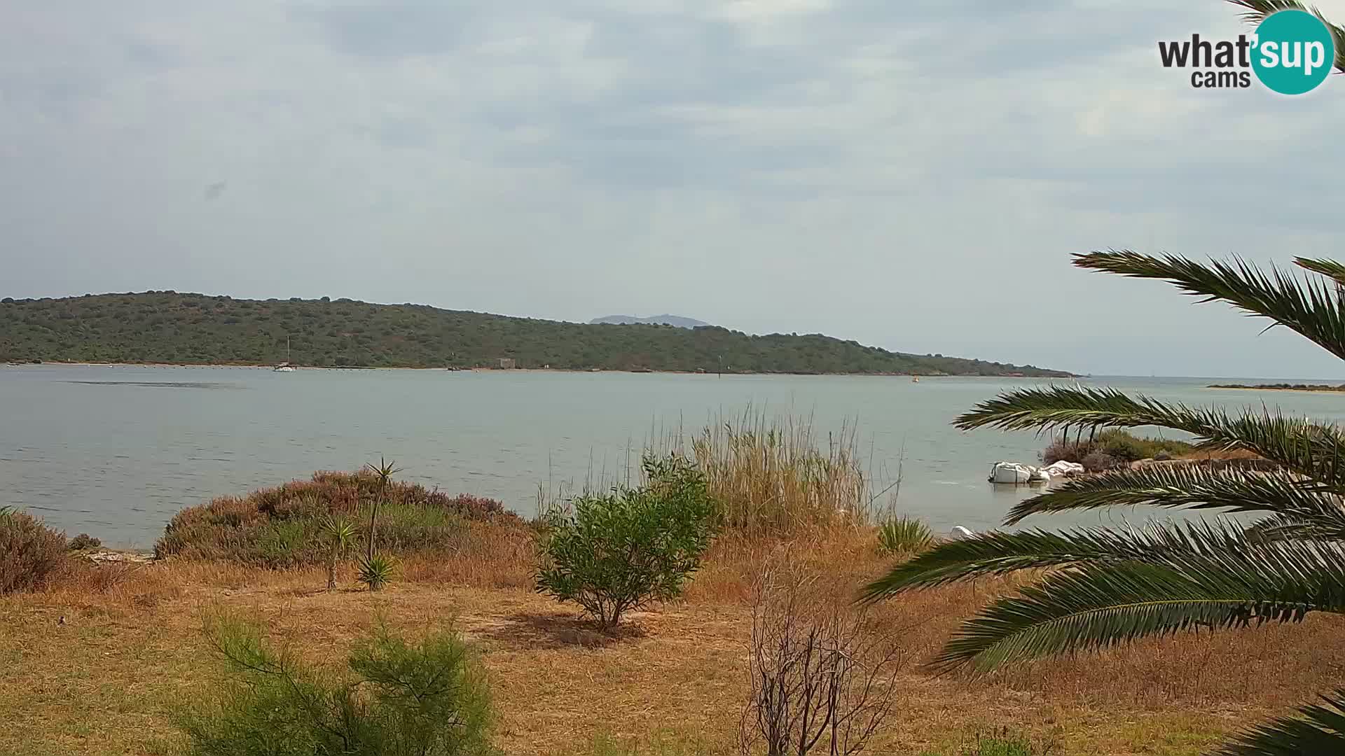 Web kamera Olbia luka – ulaz u luku Olbia